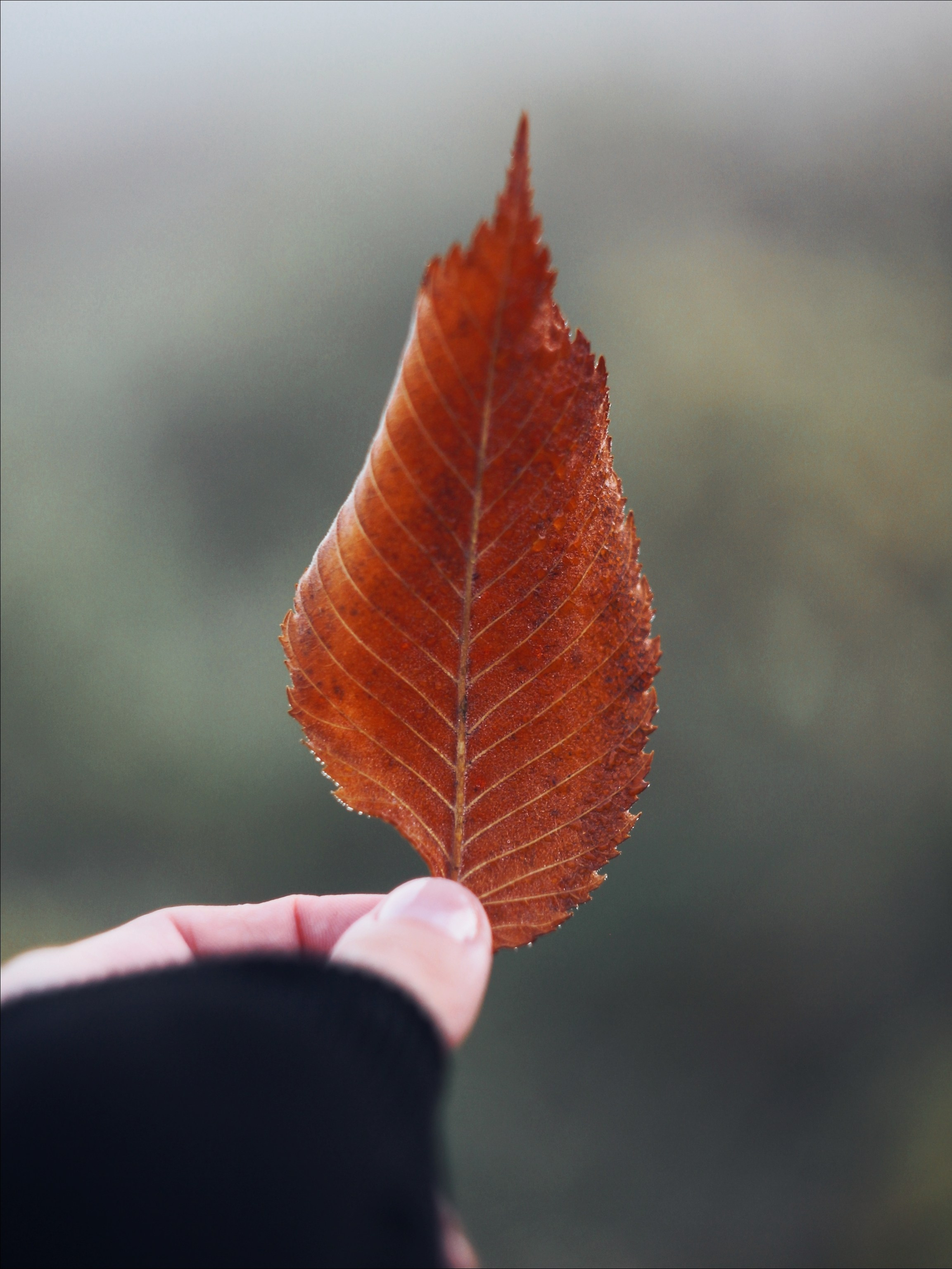 Опустошенность. С любовью, фотохудожник