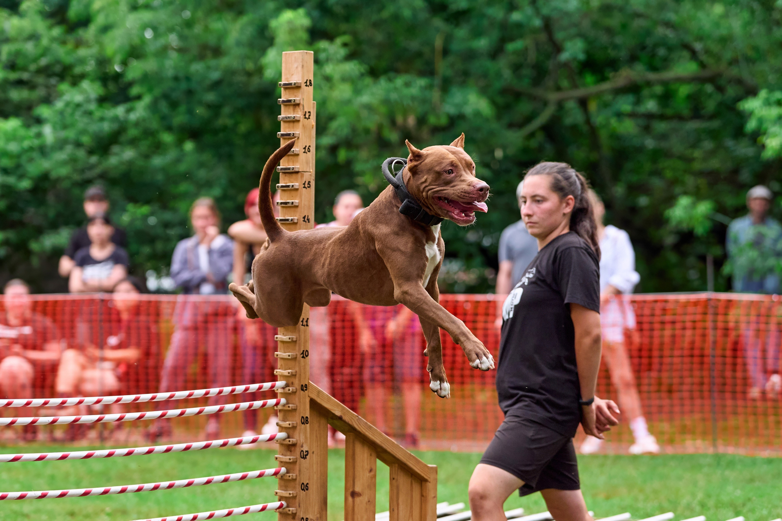 Jump'n'Gym JUMP! — 2024. Фотограф-анималист Михаил Манухин