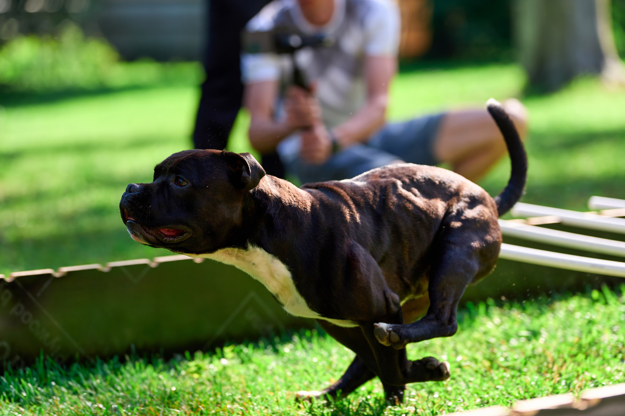 Двухдневные соревнования «Jump'n'Gym Fest — 2024». Фотограф-анималист Михаил Манухин