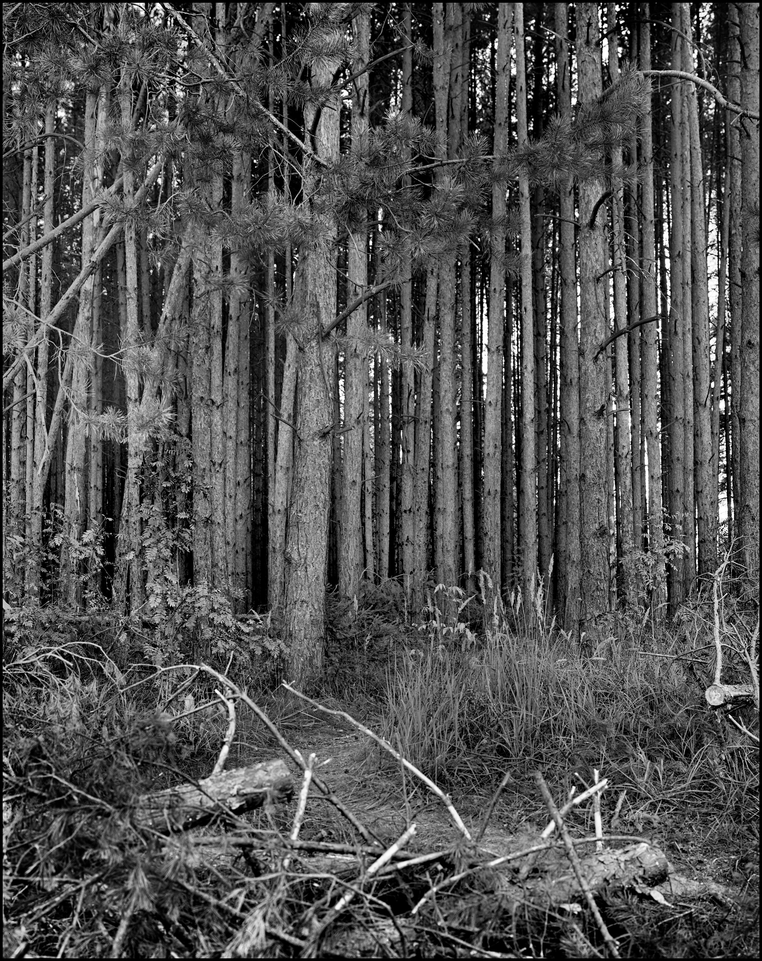 Landscape. Sergey Kondriuk art-photographer | artist