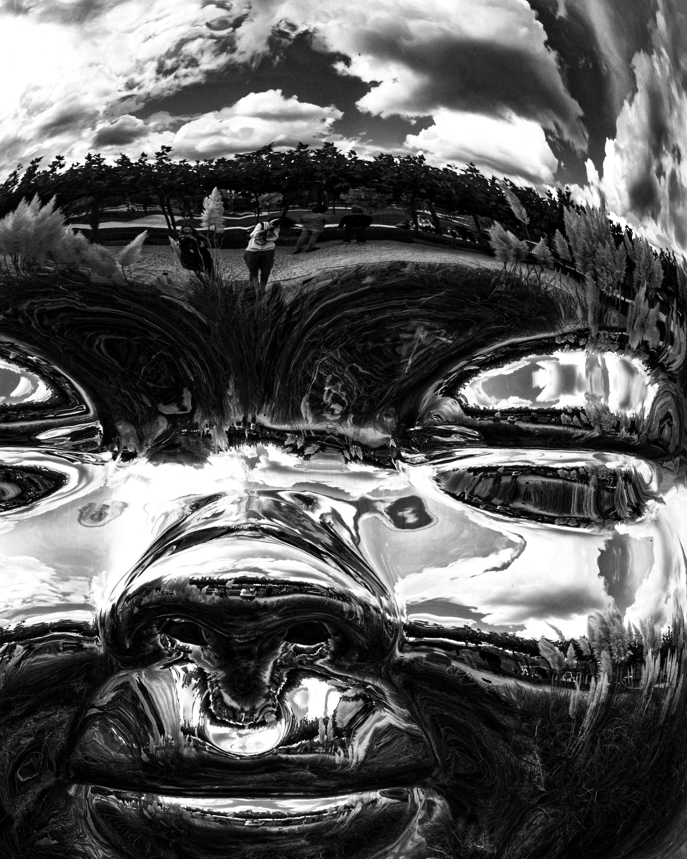 Принты. Фотограф Вера Фролова