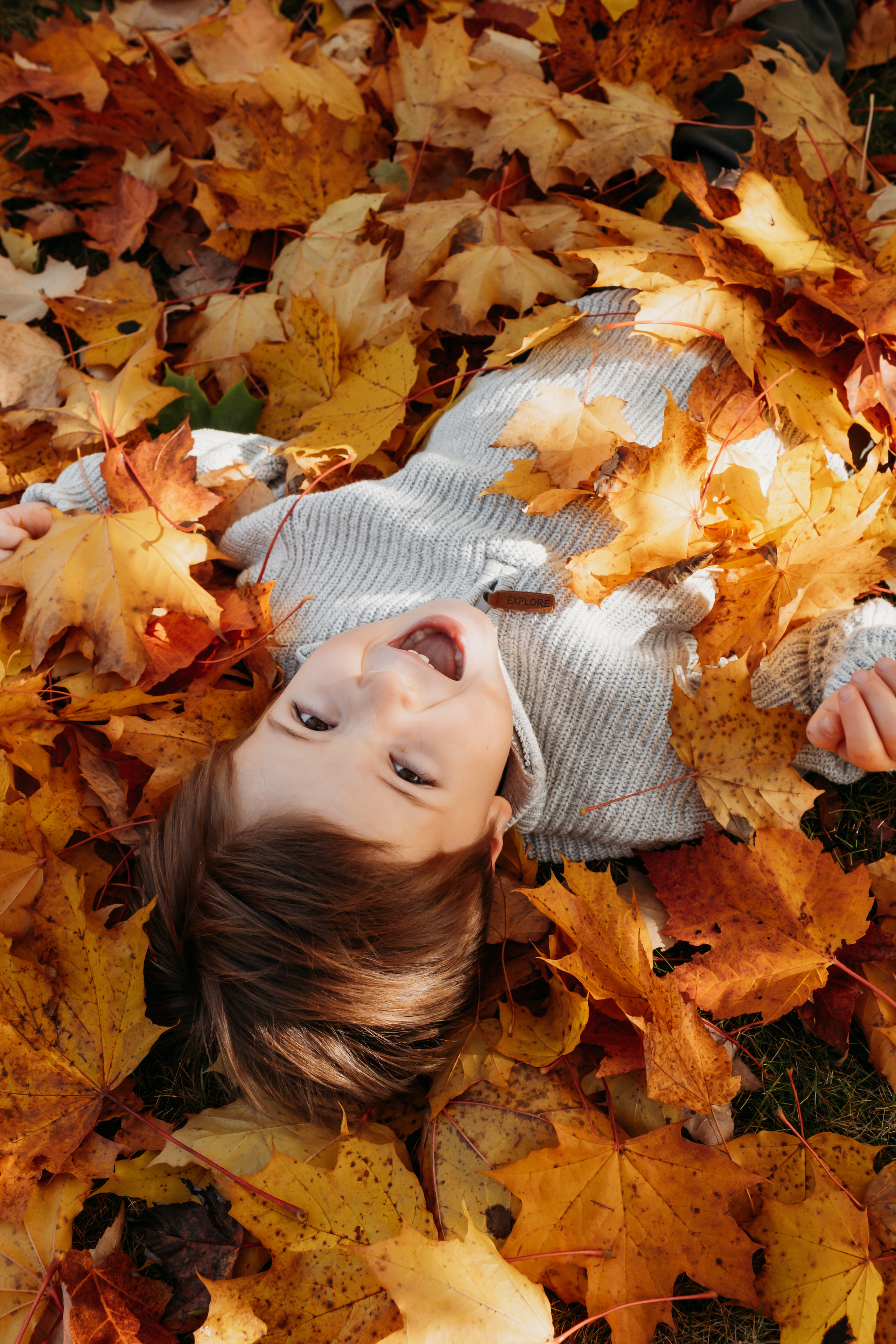 Семейная прогулка. Семейный и детский фотограф в Москве Светлана Потемкина