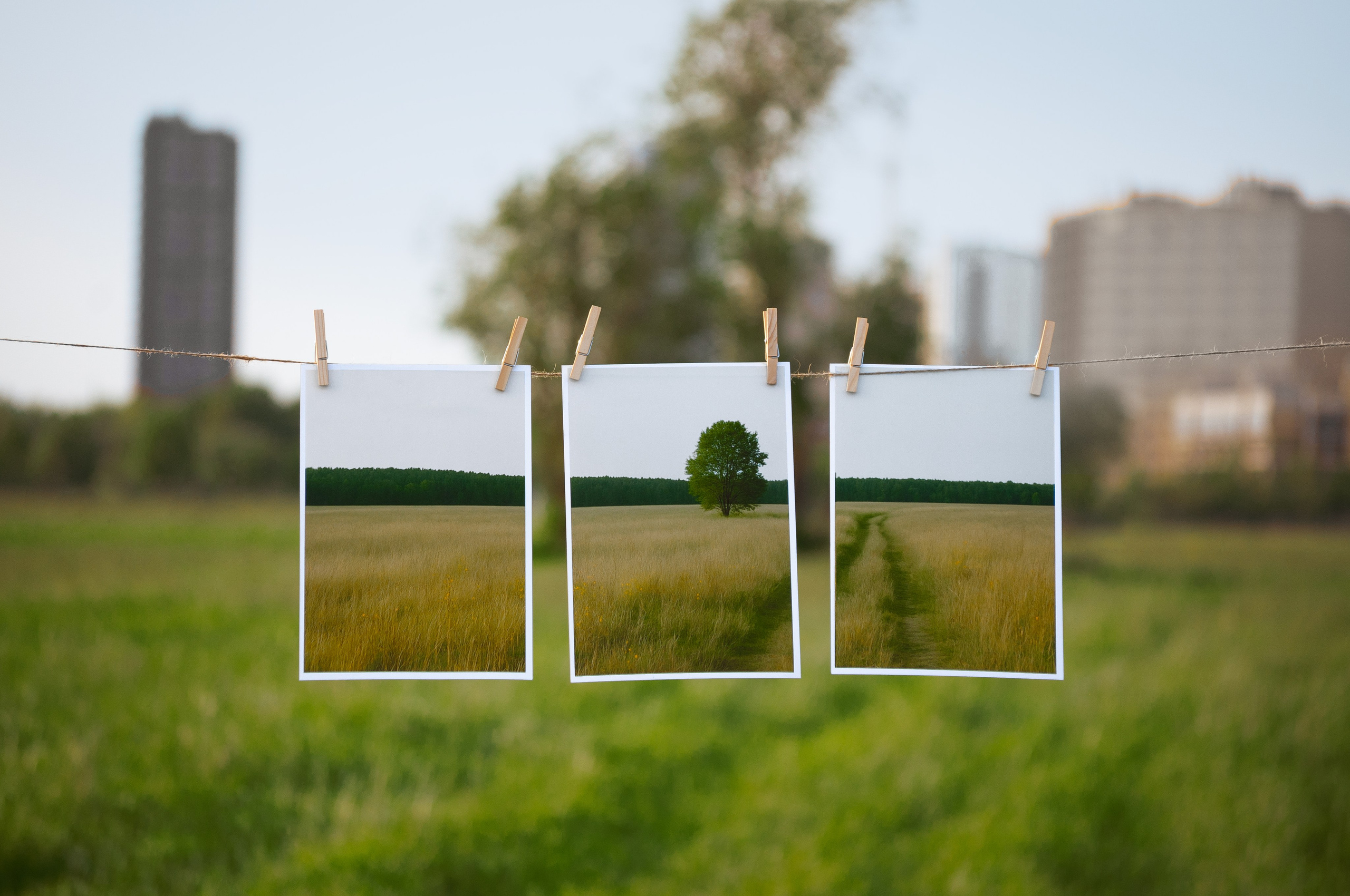 «Экспозиция тишины». GlarePhoto (Фотограф Спб)