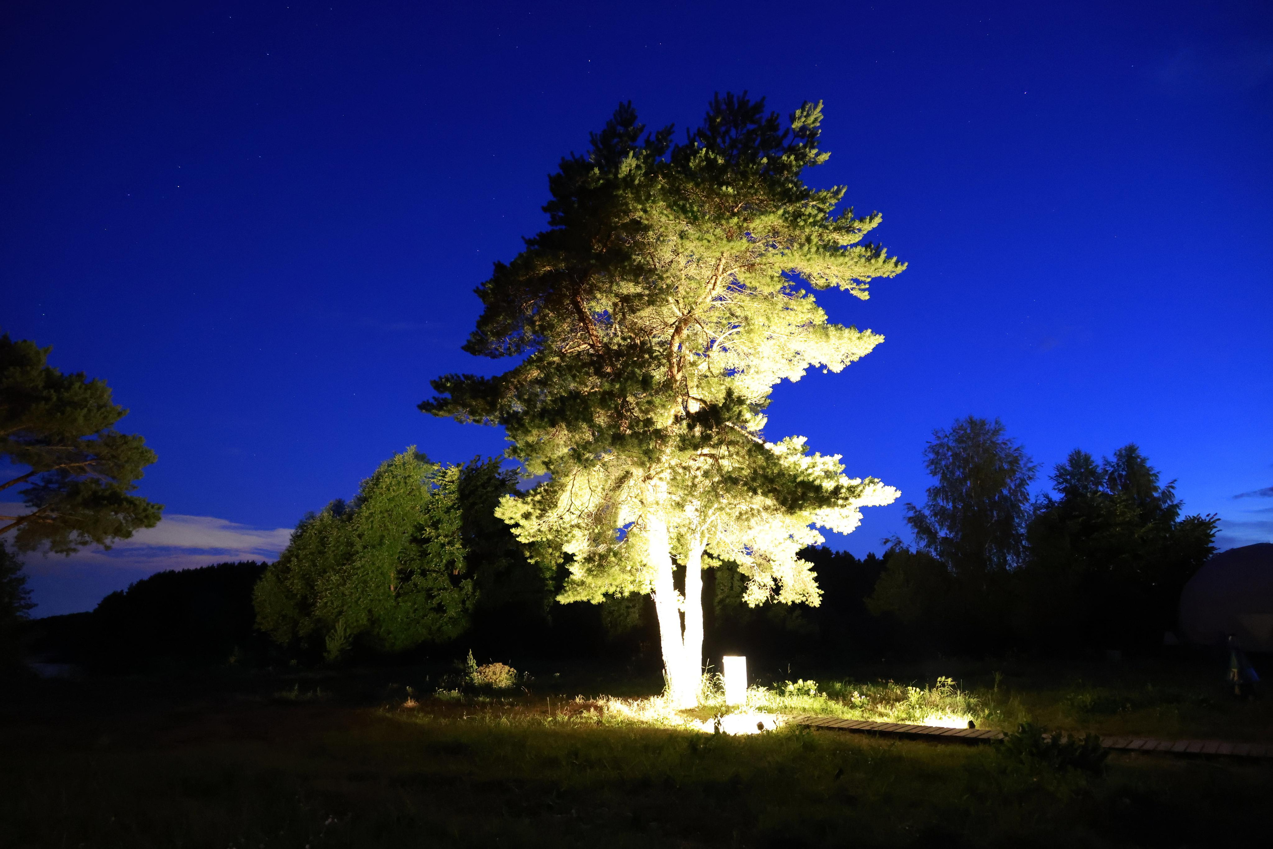 Фотохудожник BID