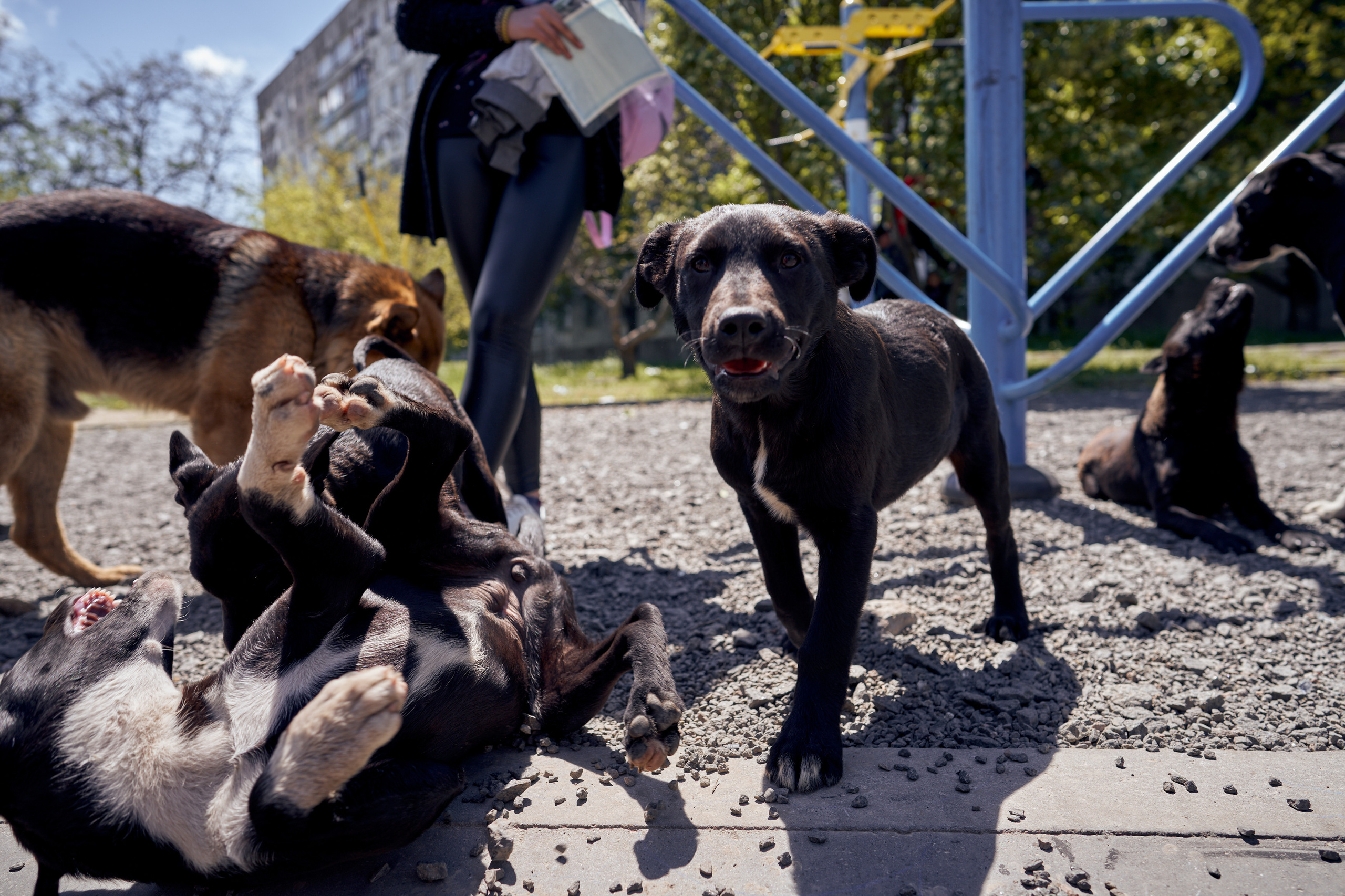 Волонтерский Мариуполь. Photographer Roman Filippov