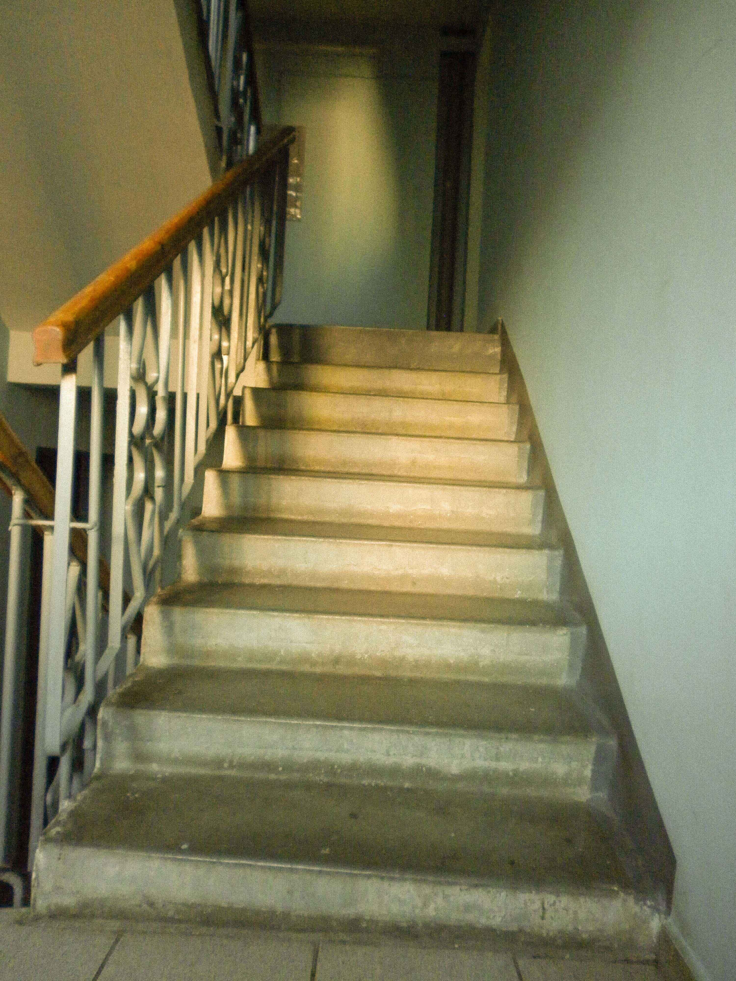 Я шёл и не видел…. Свадебный фотограф Смоленск