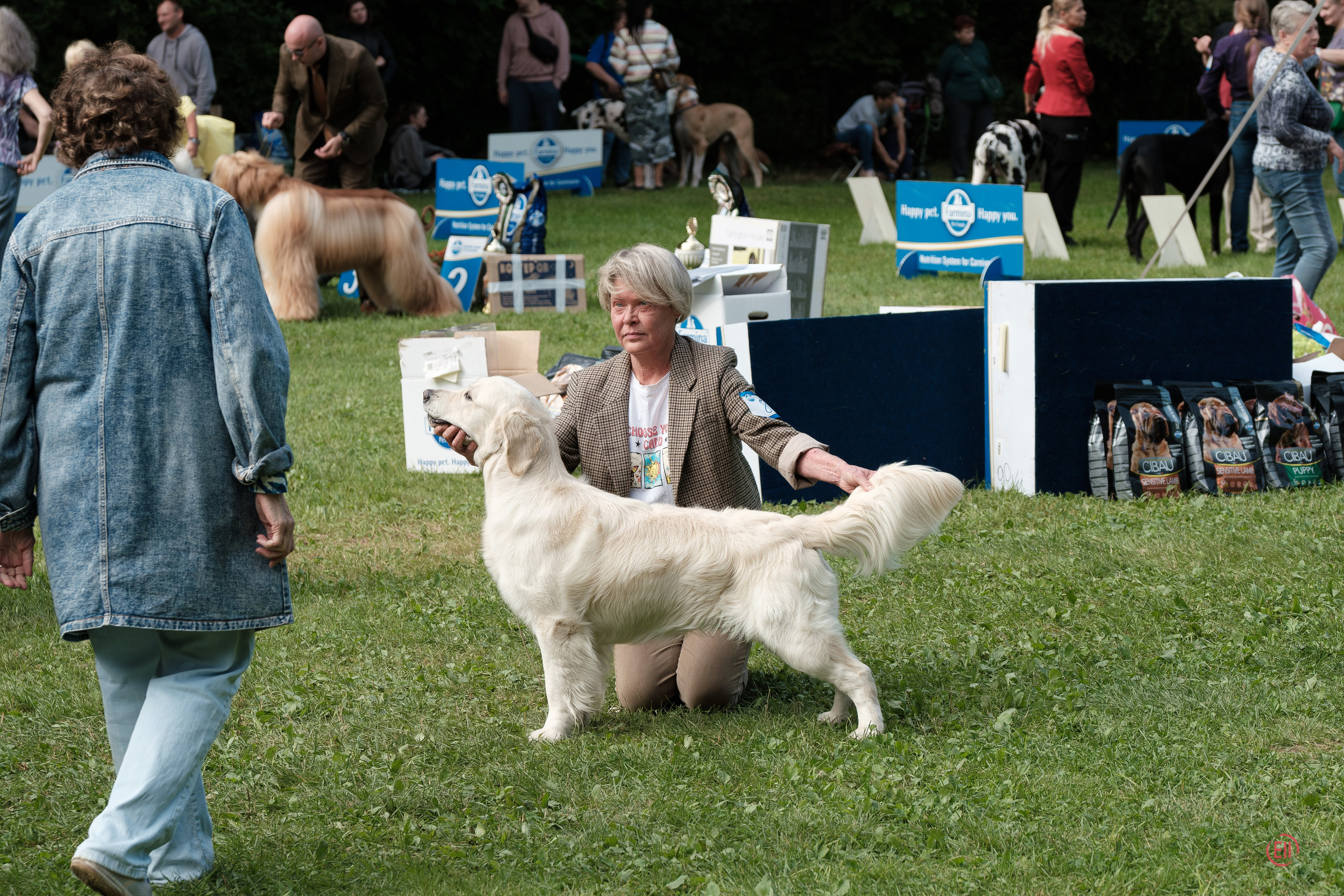 Moscow, MOO “Globus Plus”, SAS ChF rank exhibition. Chinese Crested Dog Kennel Poale Ell
