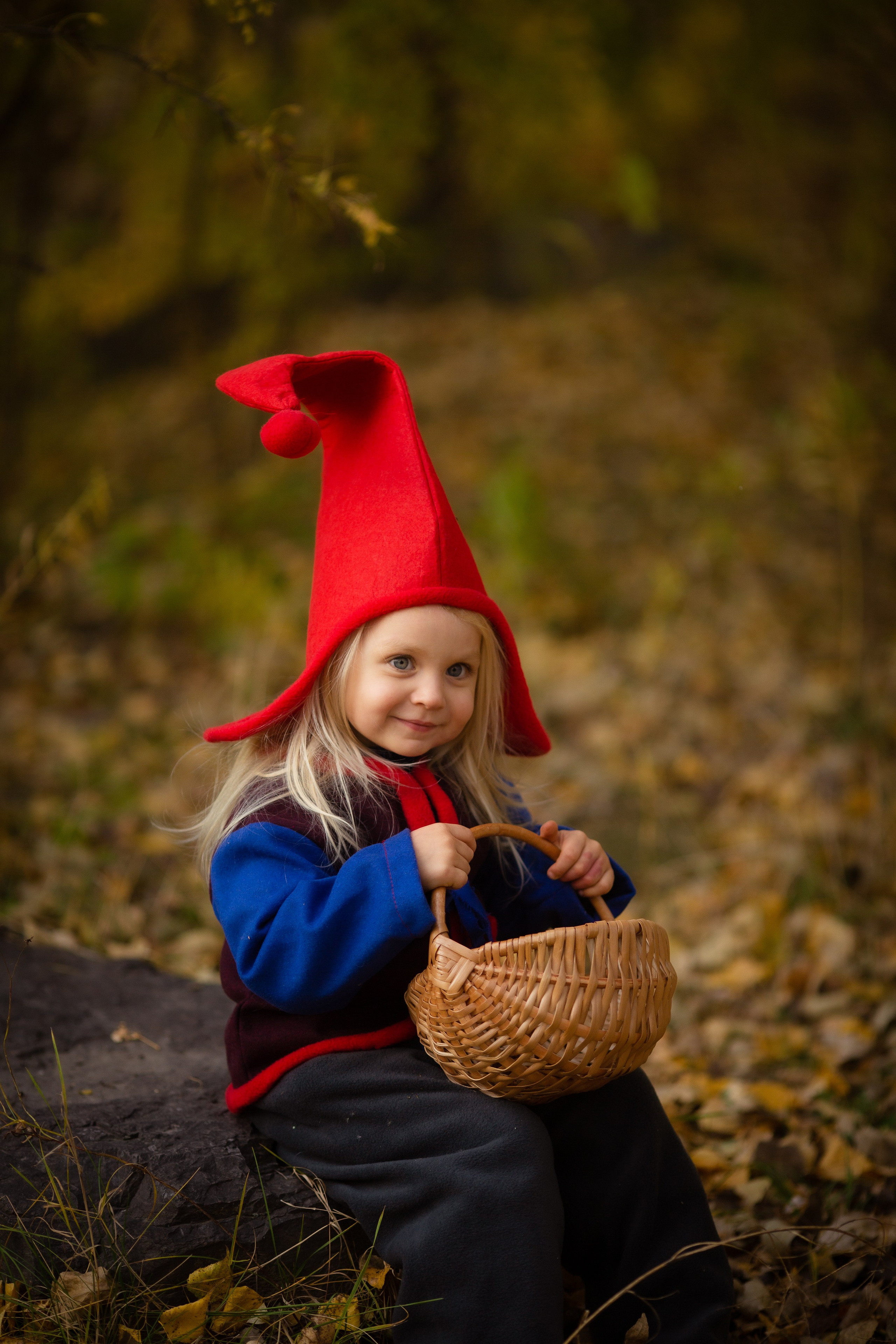 Лесные гномы