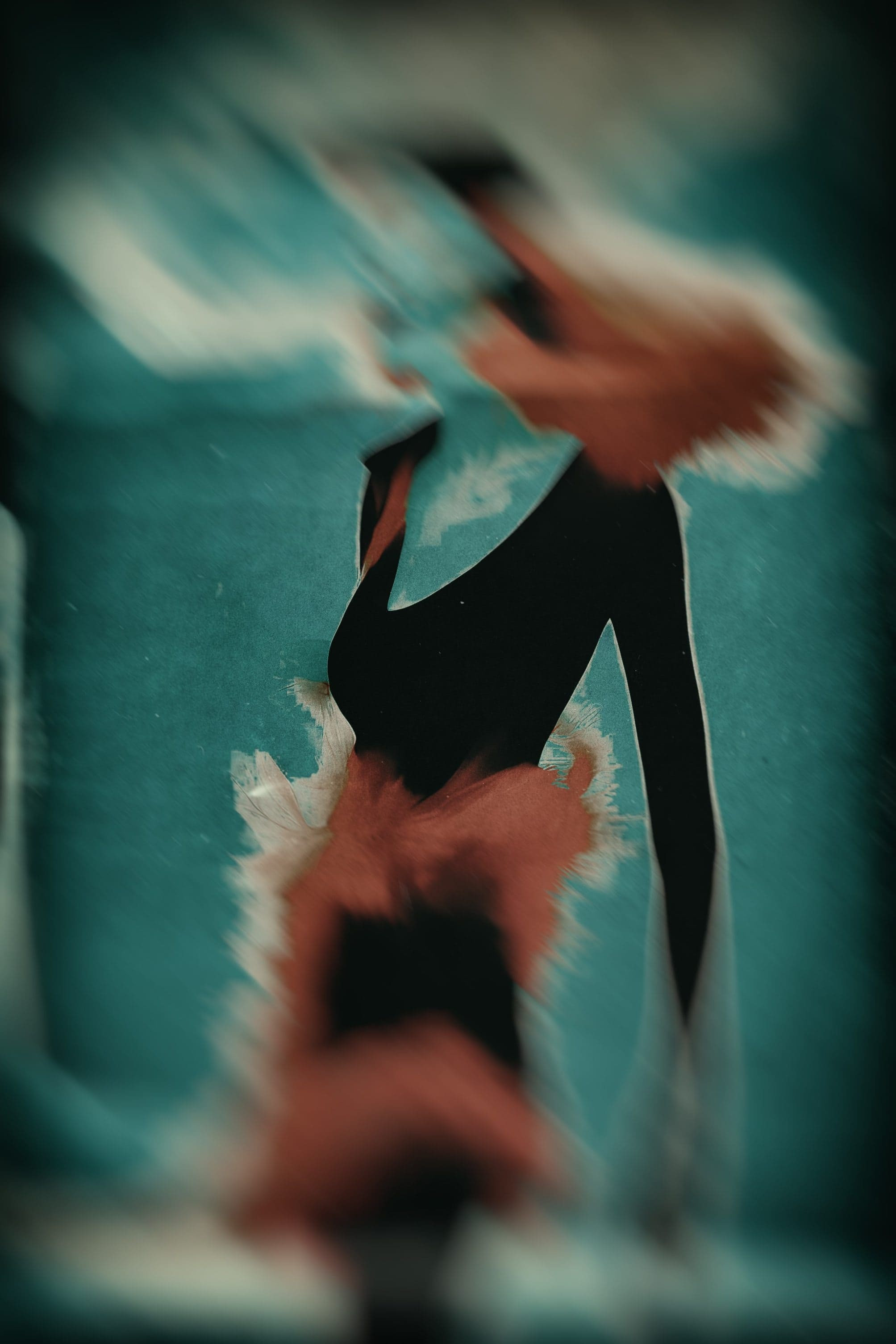 Цены и услуги. ALEXANDER VESELKOV — ФОТОГРАФ | NFT ARTIST | РЕЖИССЕР I VISUAL ARTIST