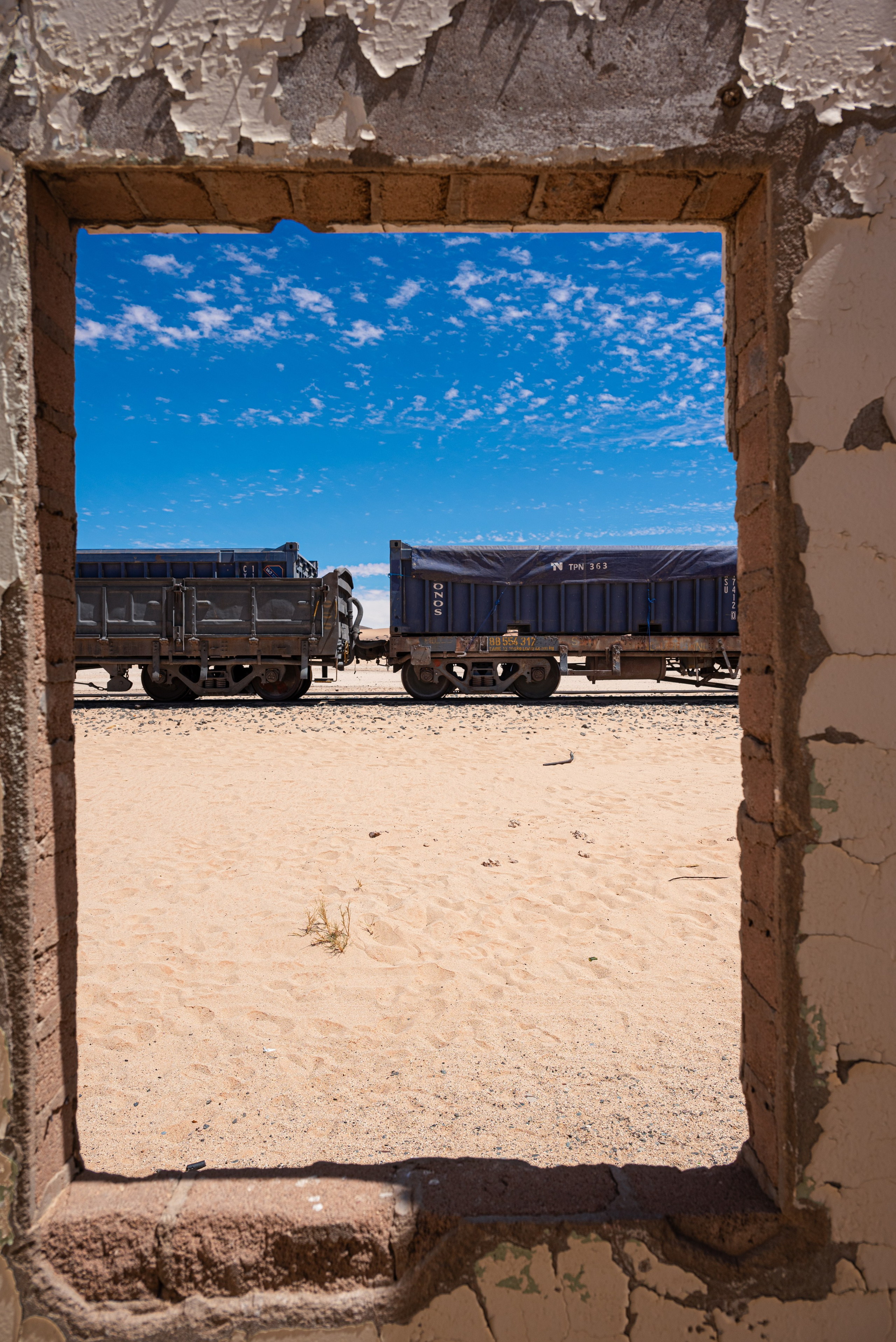 Выставки. Фотограф Дарья Сафонова Dashulkacss