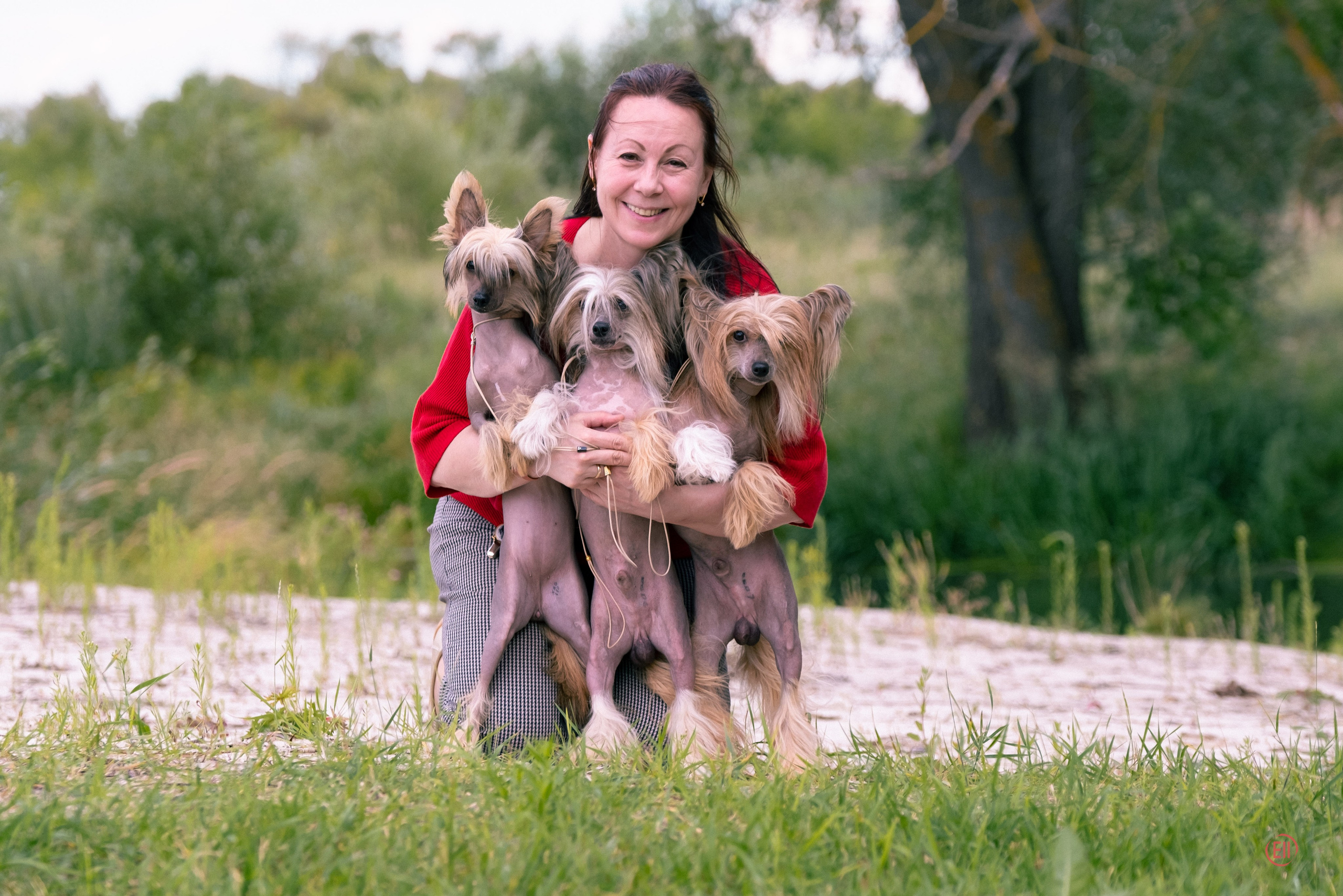 Липецк. Выставка собак. Питомник китайских хохлатых собак Poale Ell: купить щенка