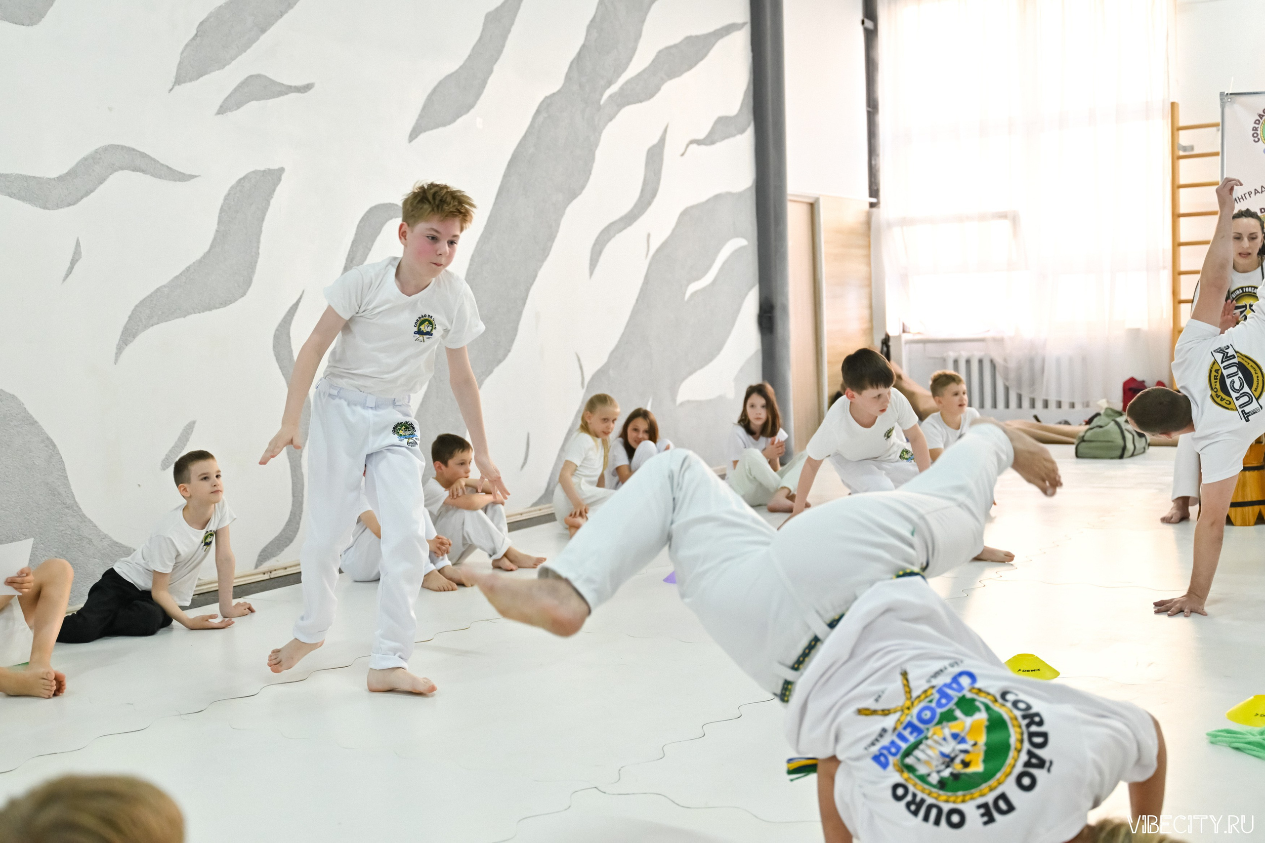 Capoeira: 4-е batizado e Troca de cordao. VIBECITY.RU Вайб Сити Ру Фоторепортажи Фотоотчеты Калининград