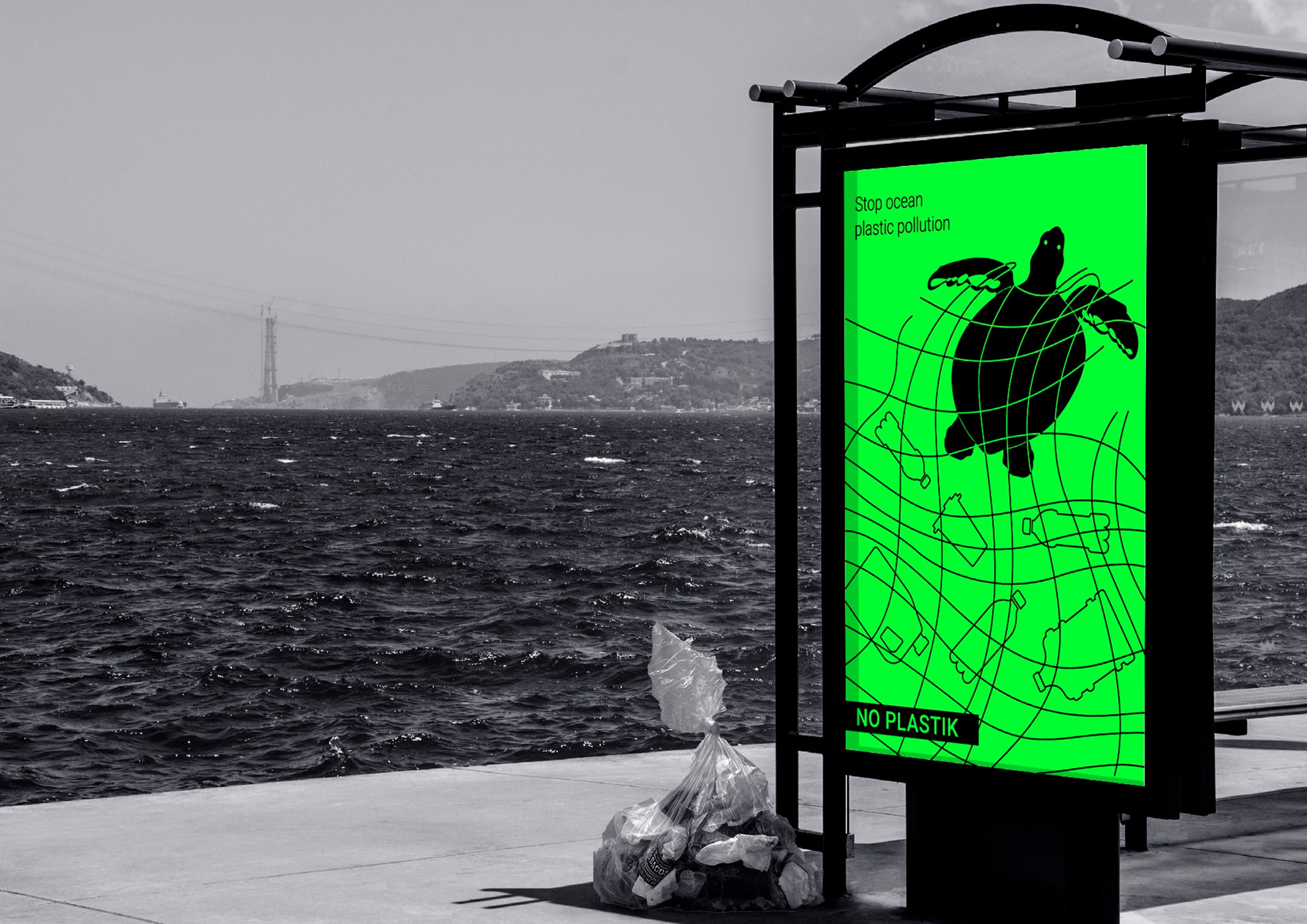 ЭКОПОСТЕРЫ. Олеся Бакулина, графический дизайнер, иллюстратор