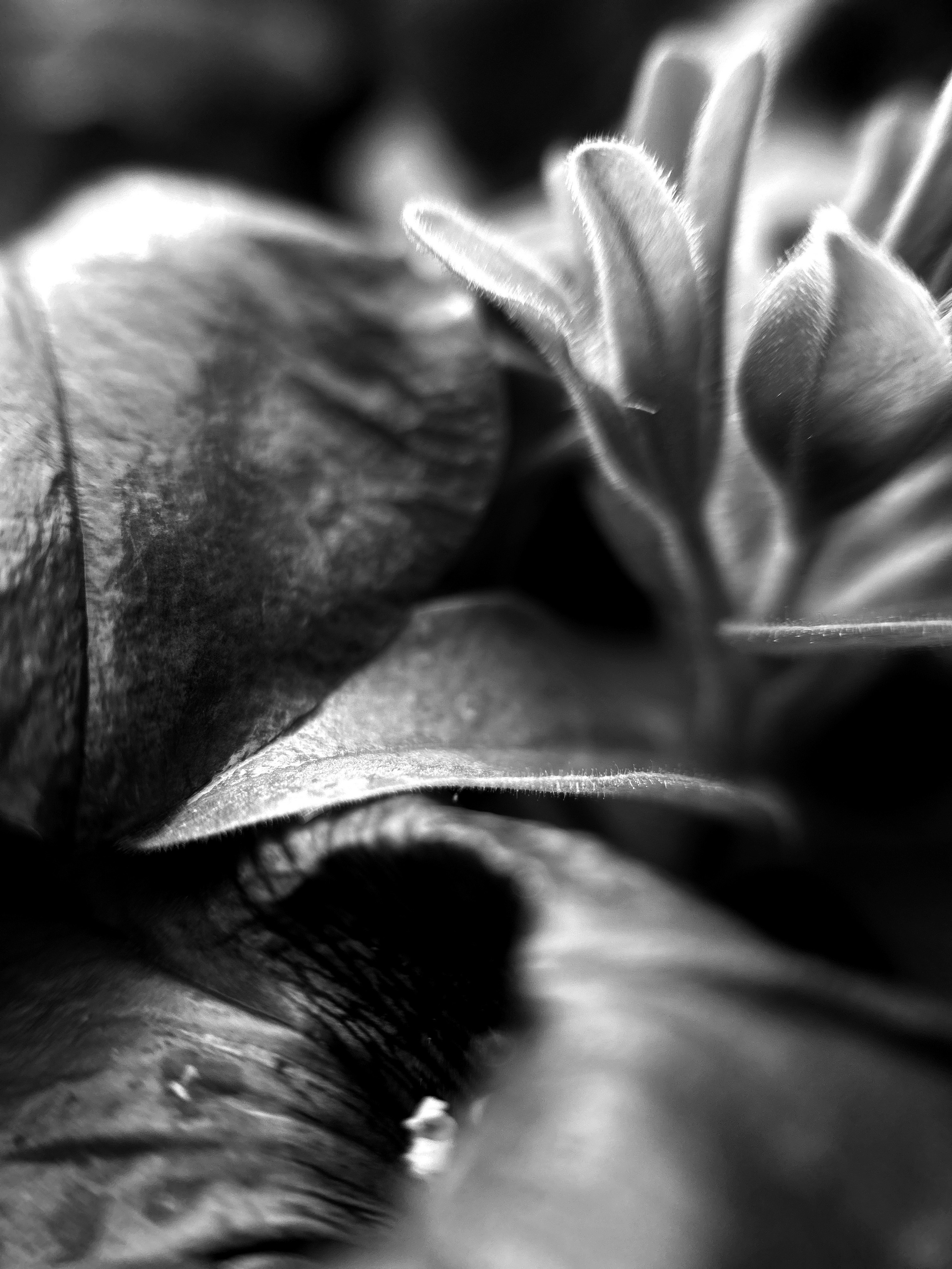 Portrait and reportage photographer Rezeda Iuzmeeva