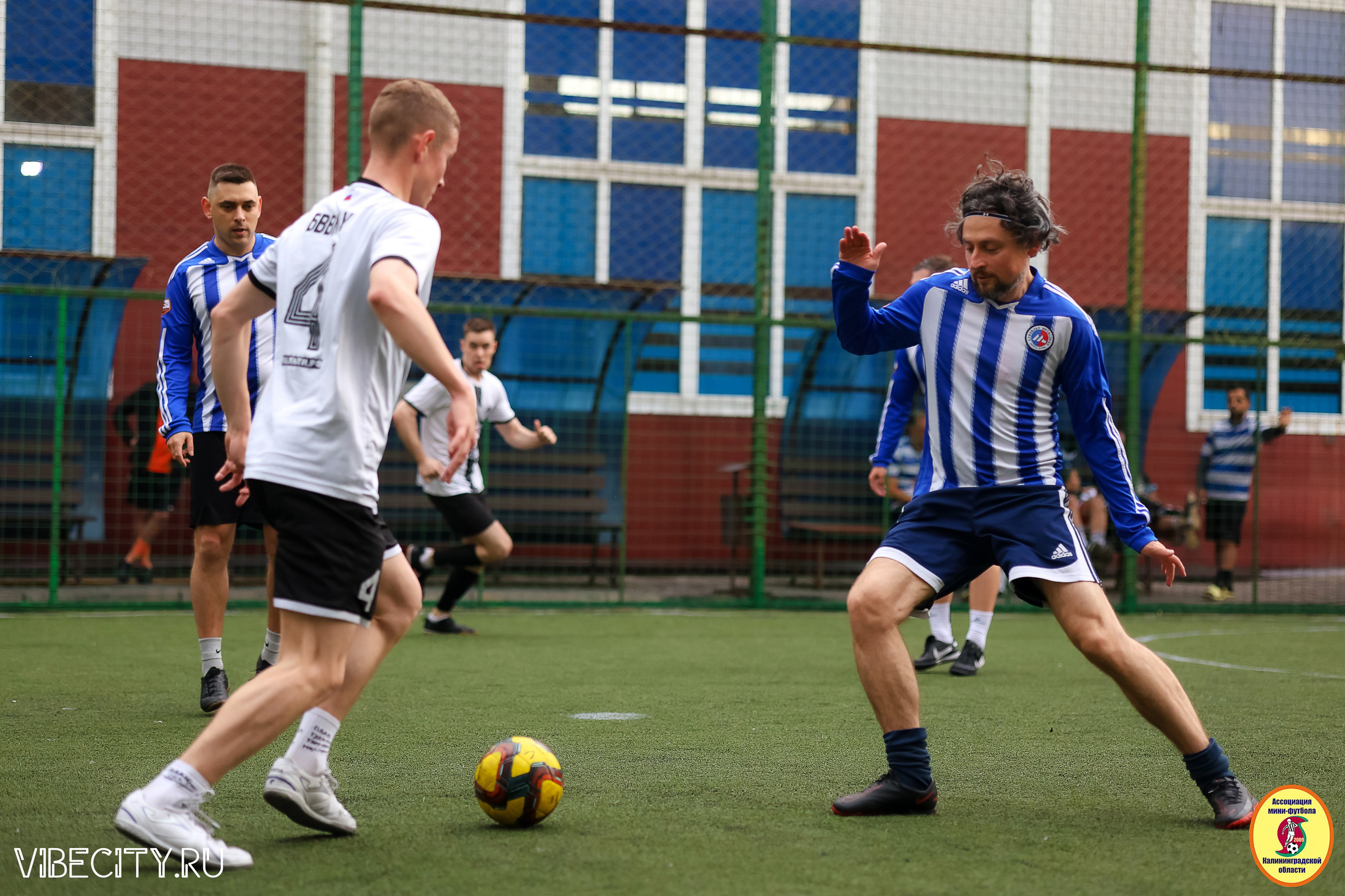 ИГРЫ МИНИ-ФУТБОЛЬНОЙ И КОРПОРАТИВНОЙ ЛИГИ. VIBECITY.RU Вайб Сити Ру Фоторепортажи Фотоотчеты Калининград