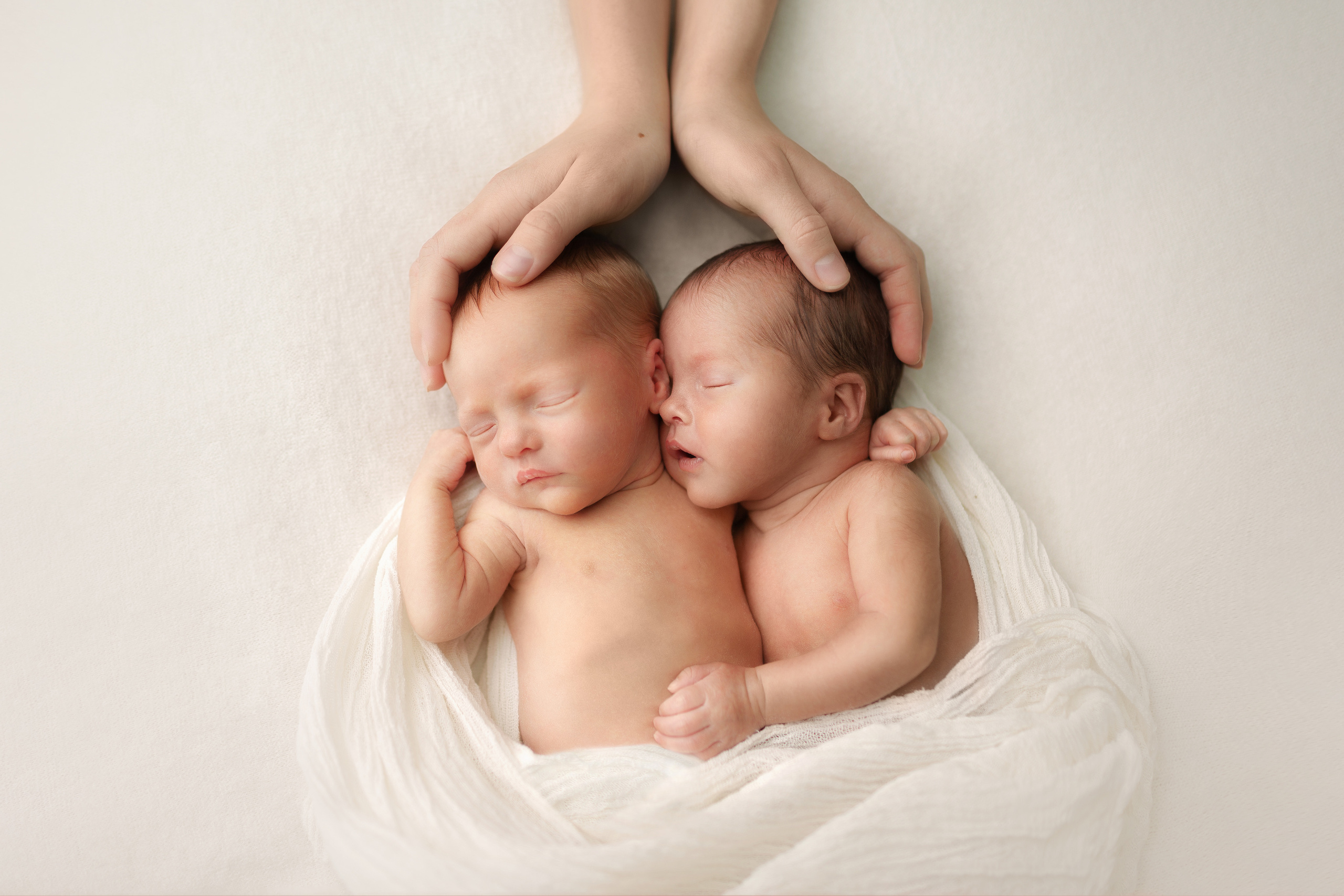 фото новорожденной двойни в великих луках заказать