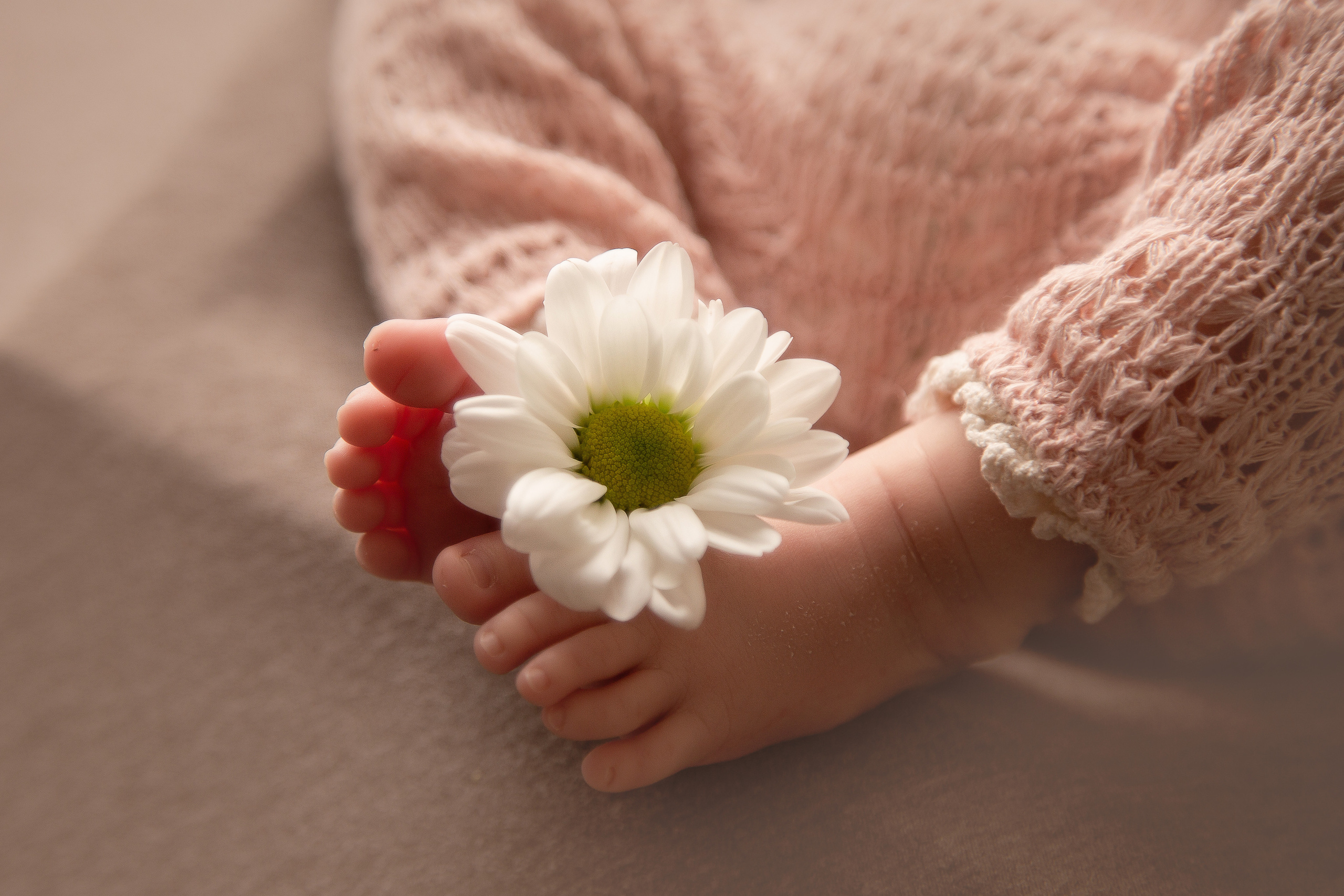 2 триместр беременности выбрать фотографа новорожденного в великих луках