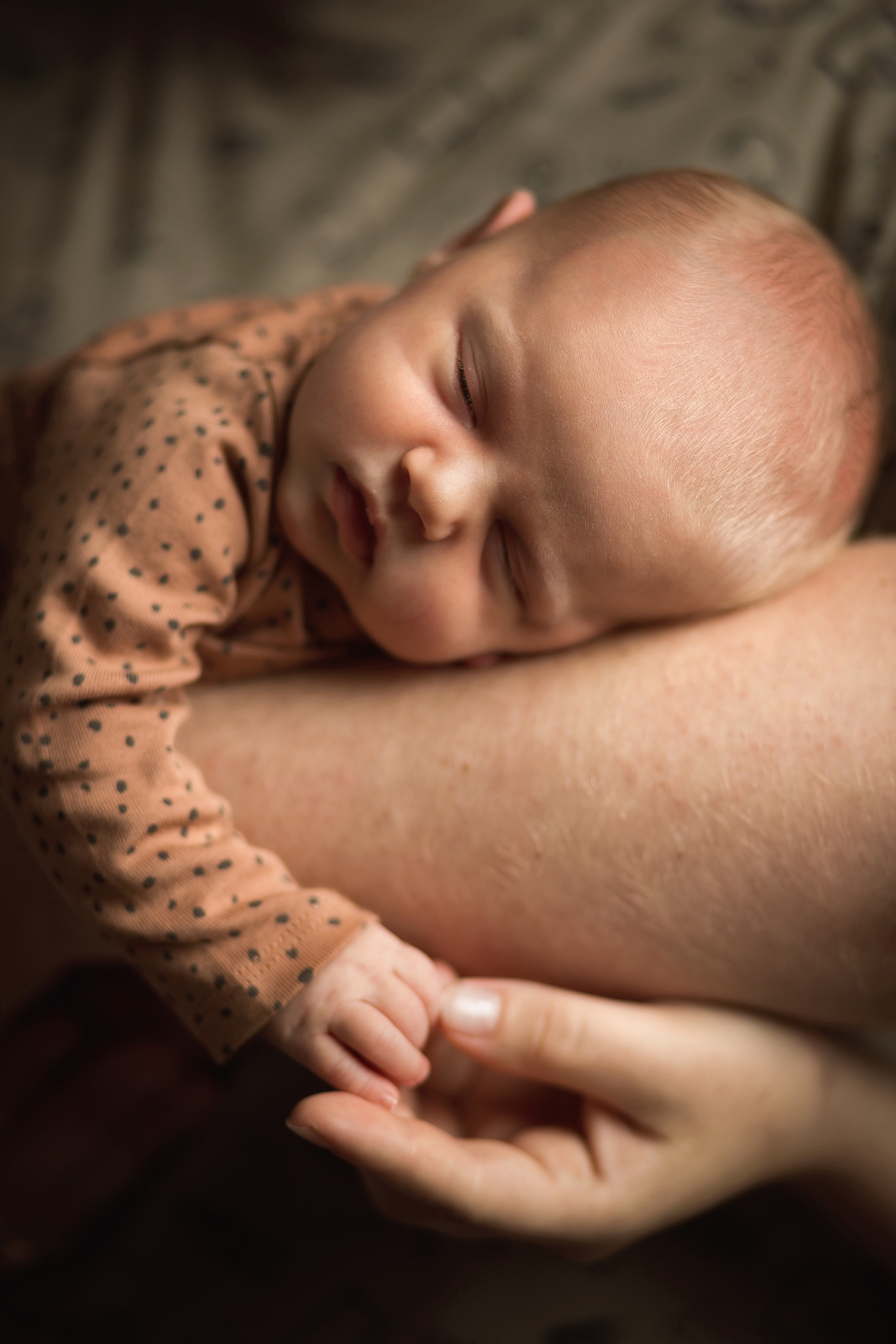 заказать ньюборн фотосессия с папой в великих луках