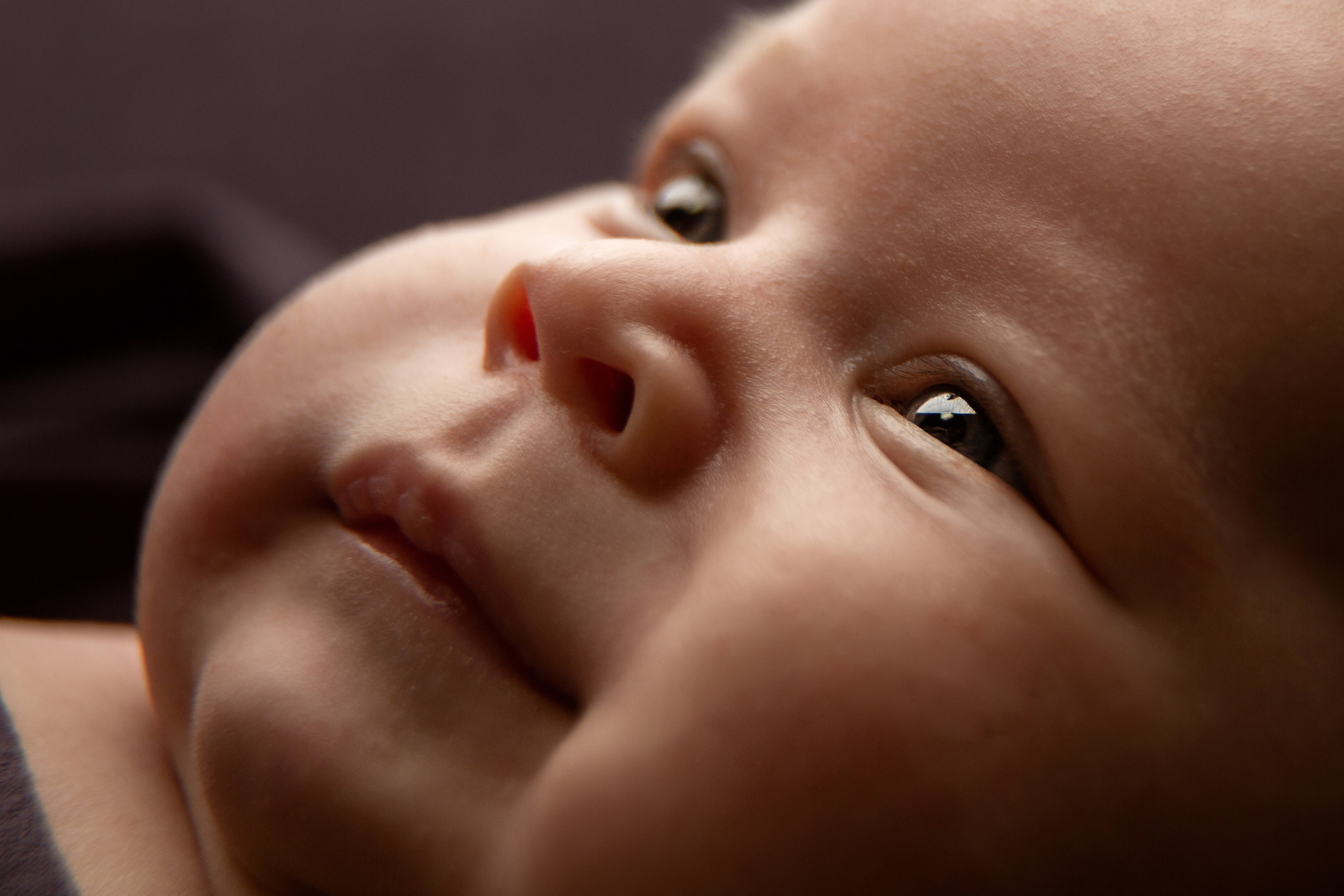 самые красивые ньюборн фото в России