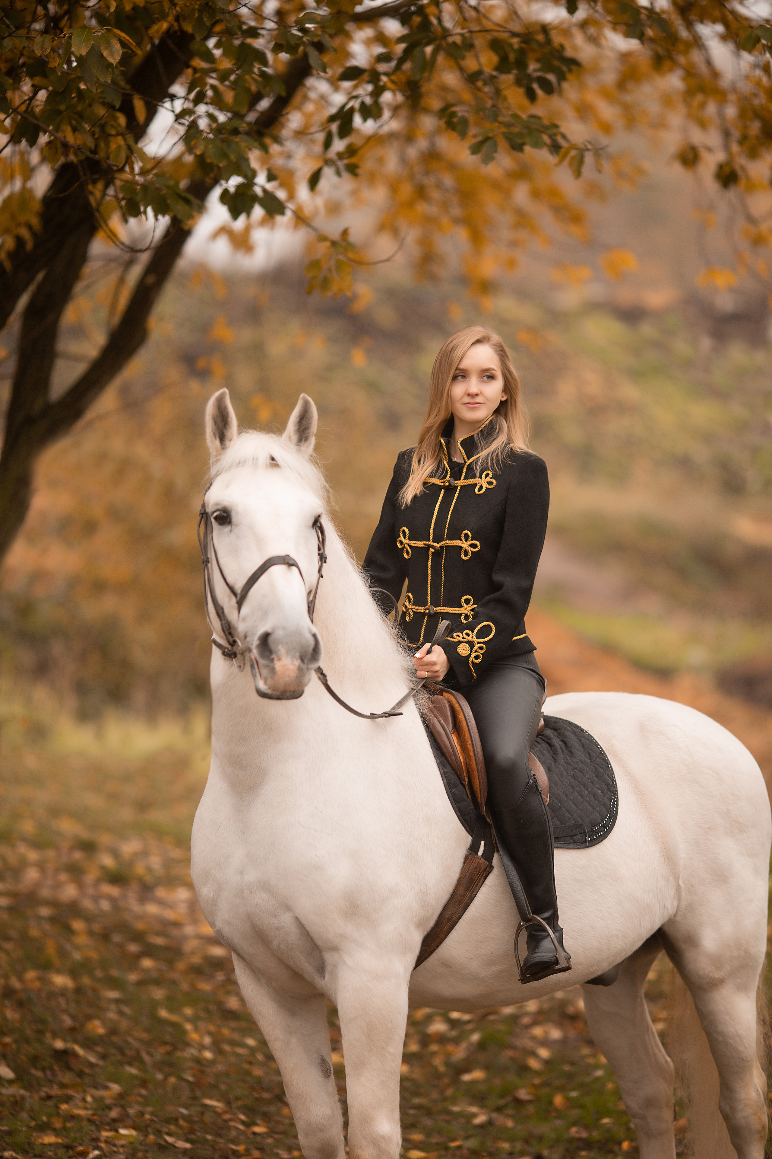 Любовь и Воробей. Фотосессия с лошадьми в Нижнем Новгороде