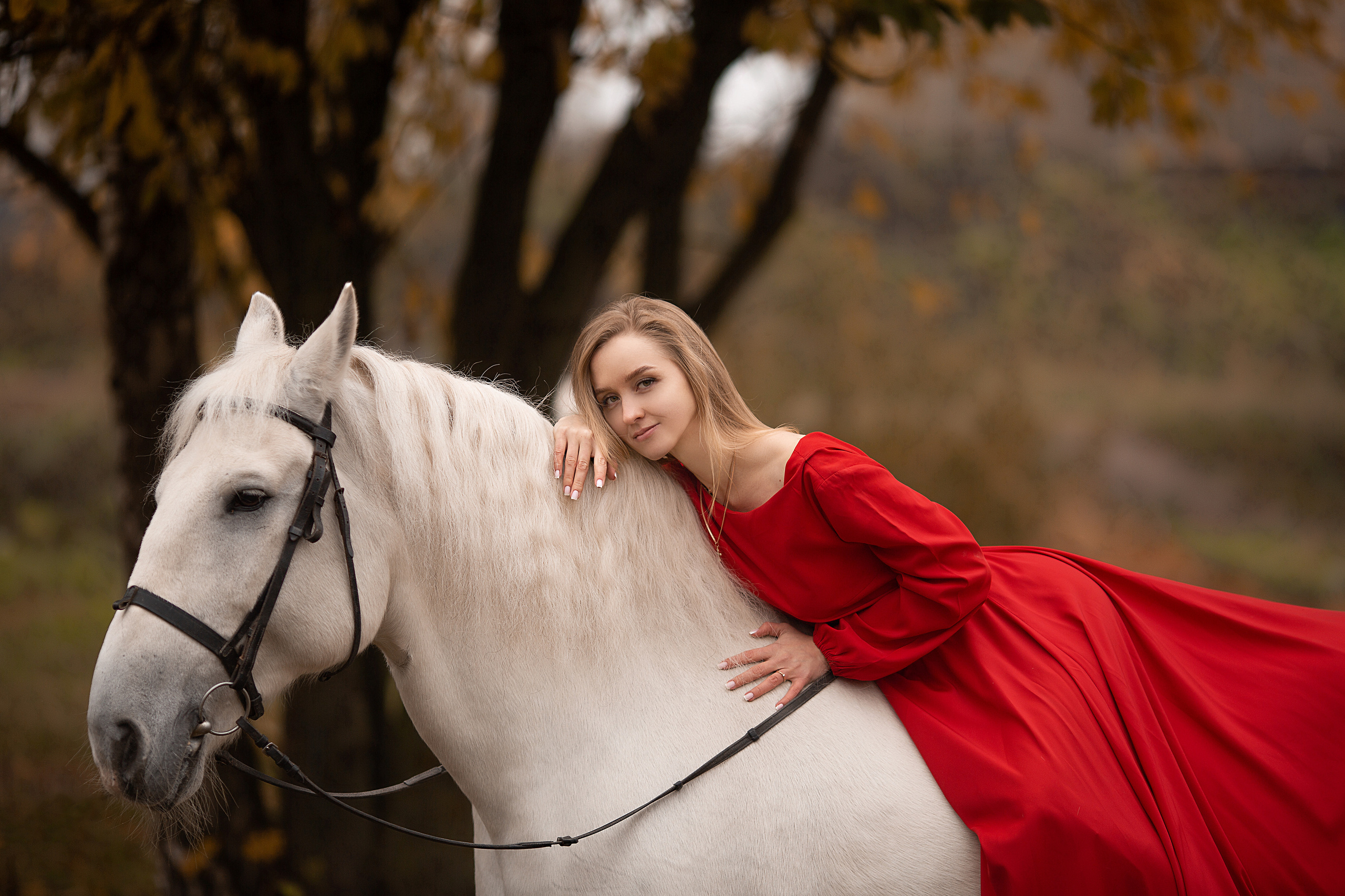 Любовь и Воробей. Фотосессия с лошадьми в Нижнем Новгороде