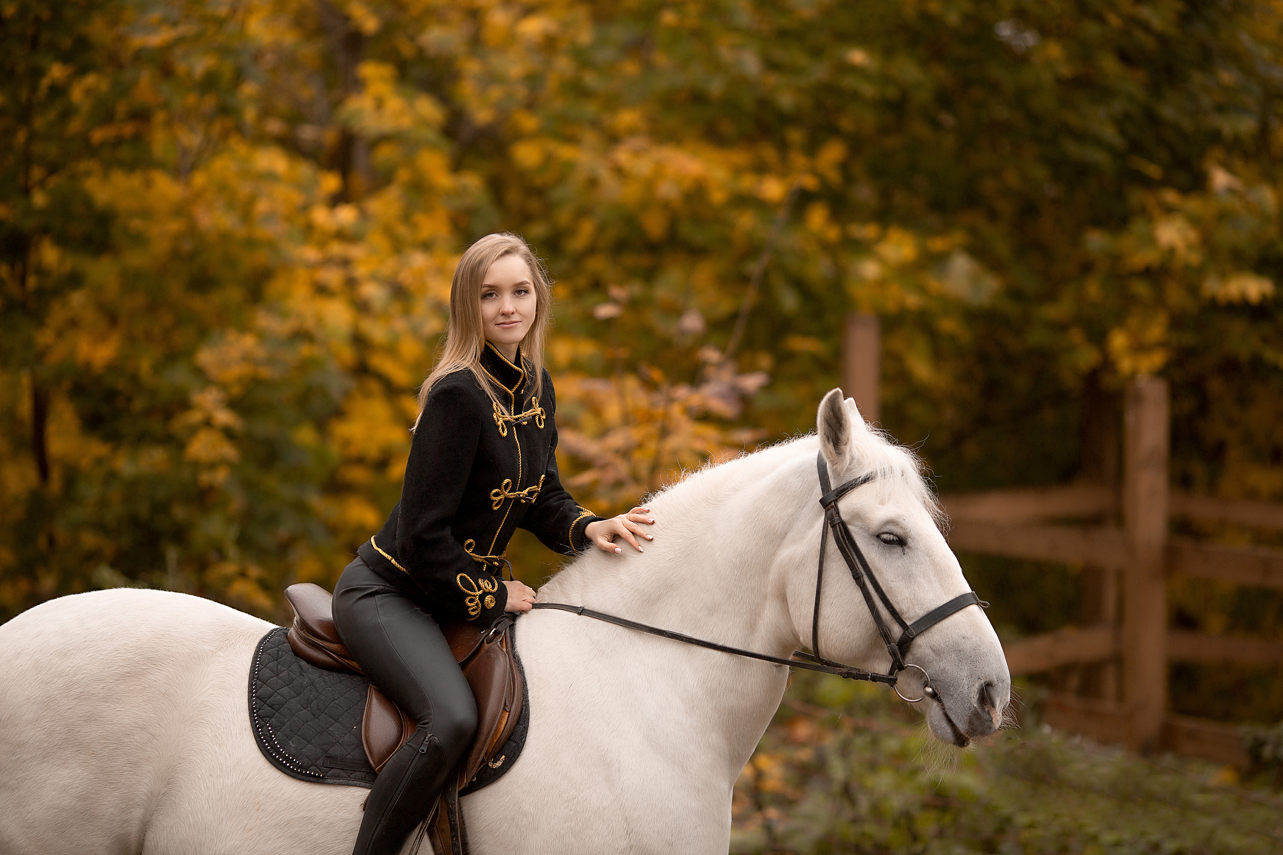 Любовь и Воробей. Фотосессия с лошадьми в Нижнем Новгороде