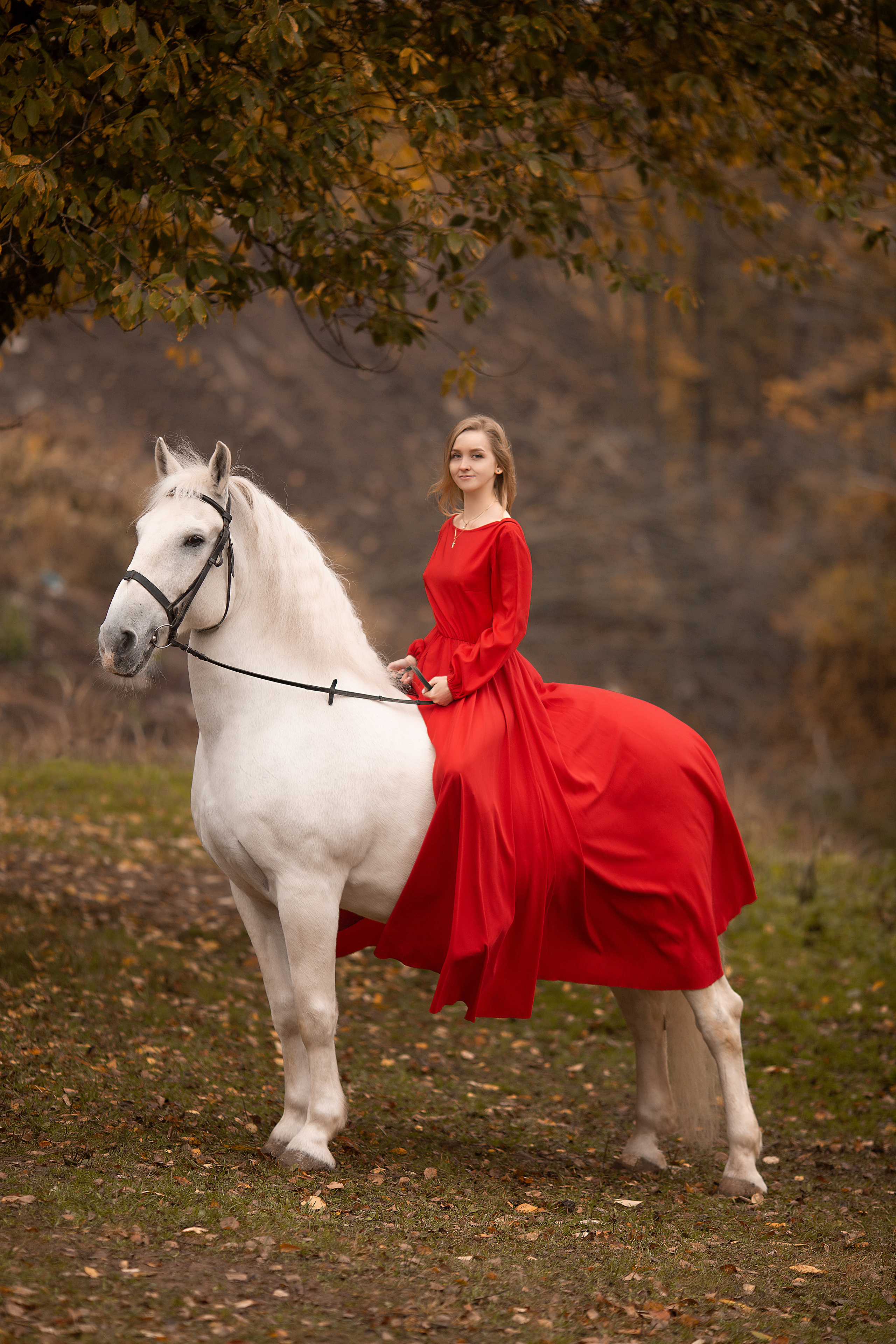 Любовь и Воробей. Фотосессия с лошадьми в Нижнем Новгороде