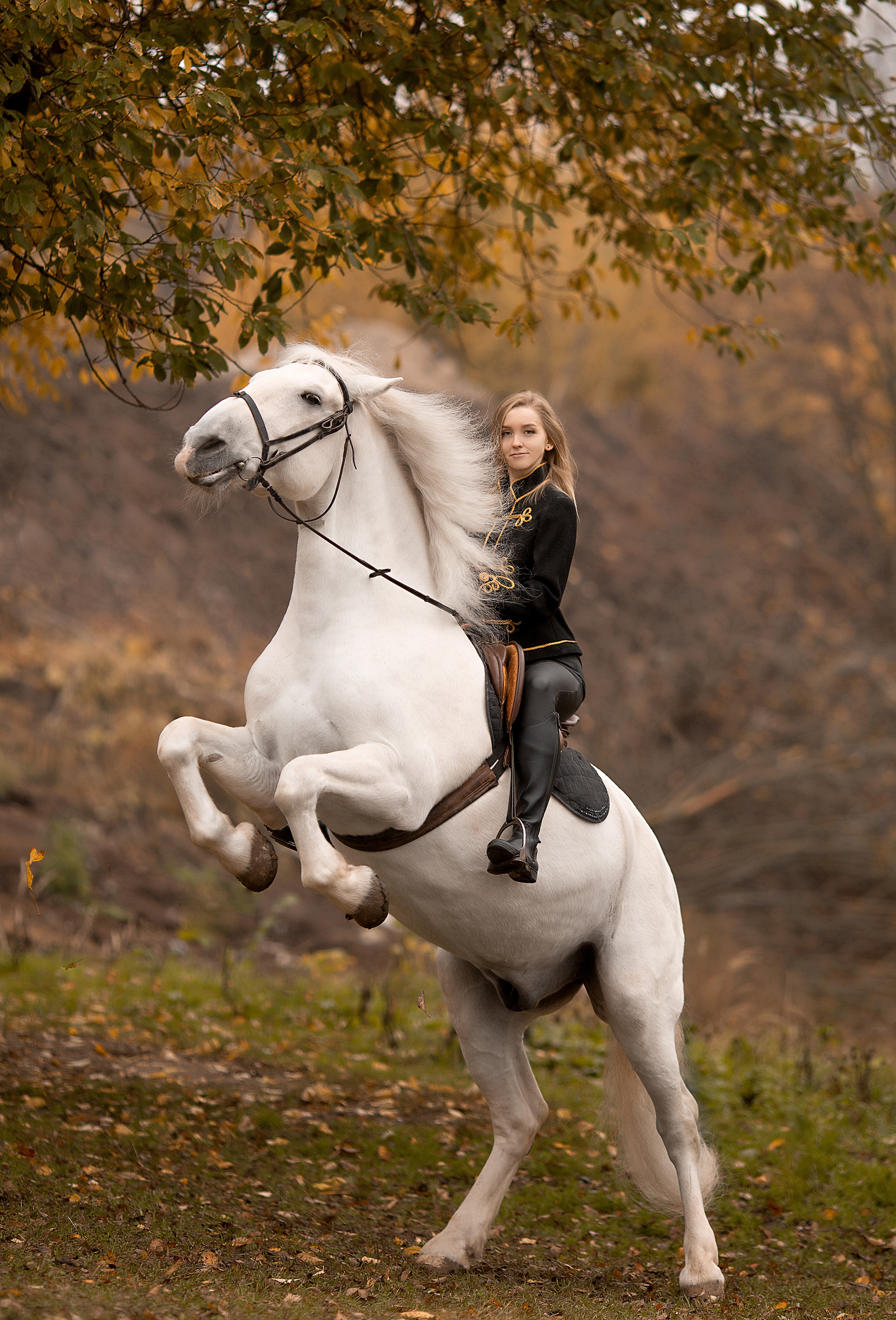 Любовь и Воробей. Фотосессия с лошадьми в Нижнем Новгороде