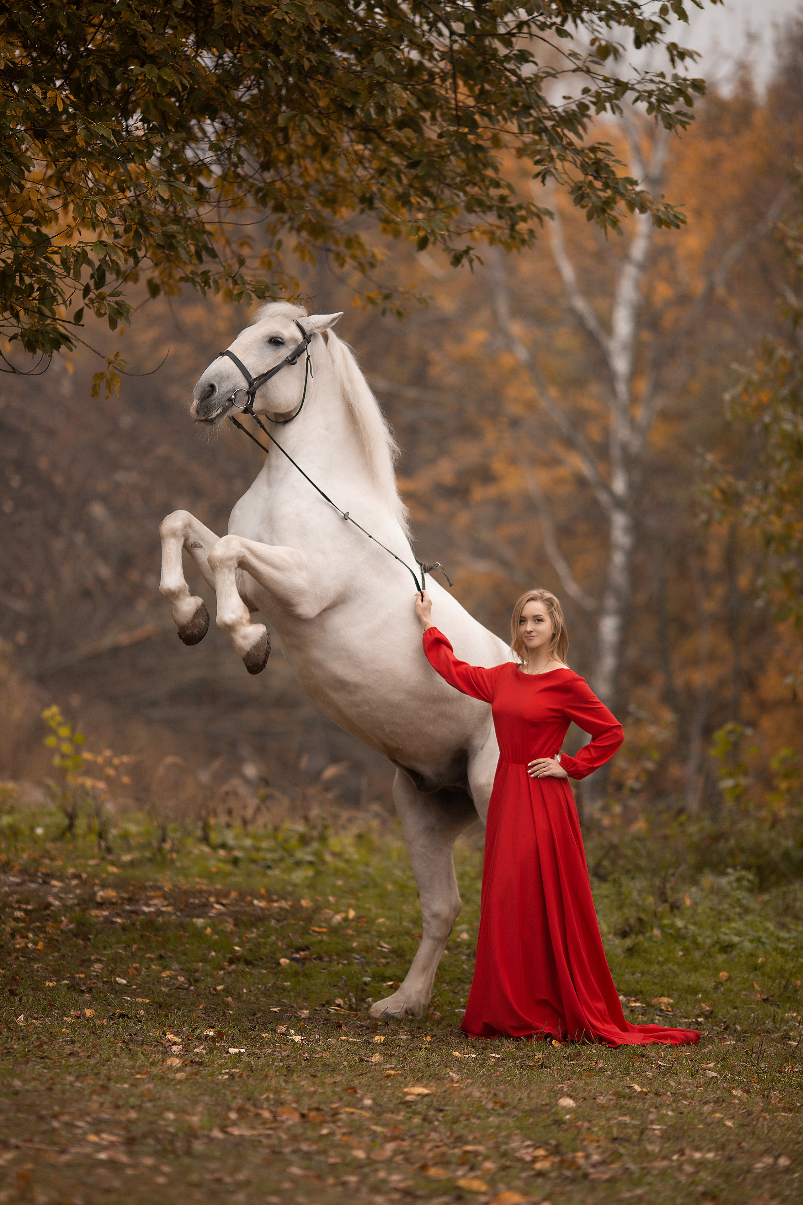 Любовь и Воробей. Фотосессия с лошадьми в Нижнем Новгороде