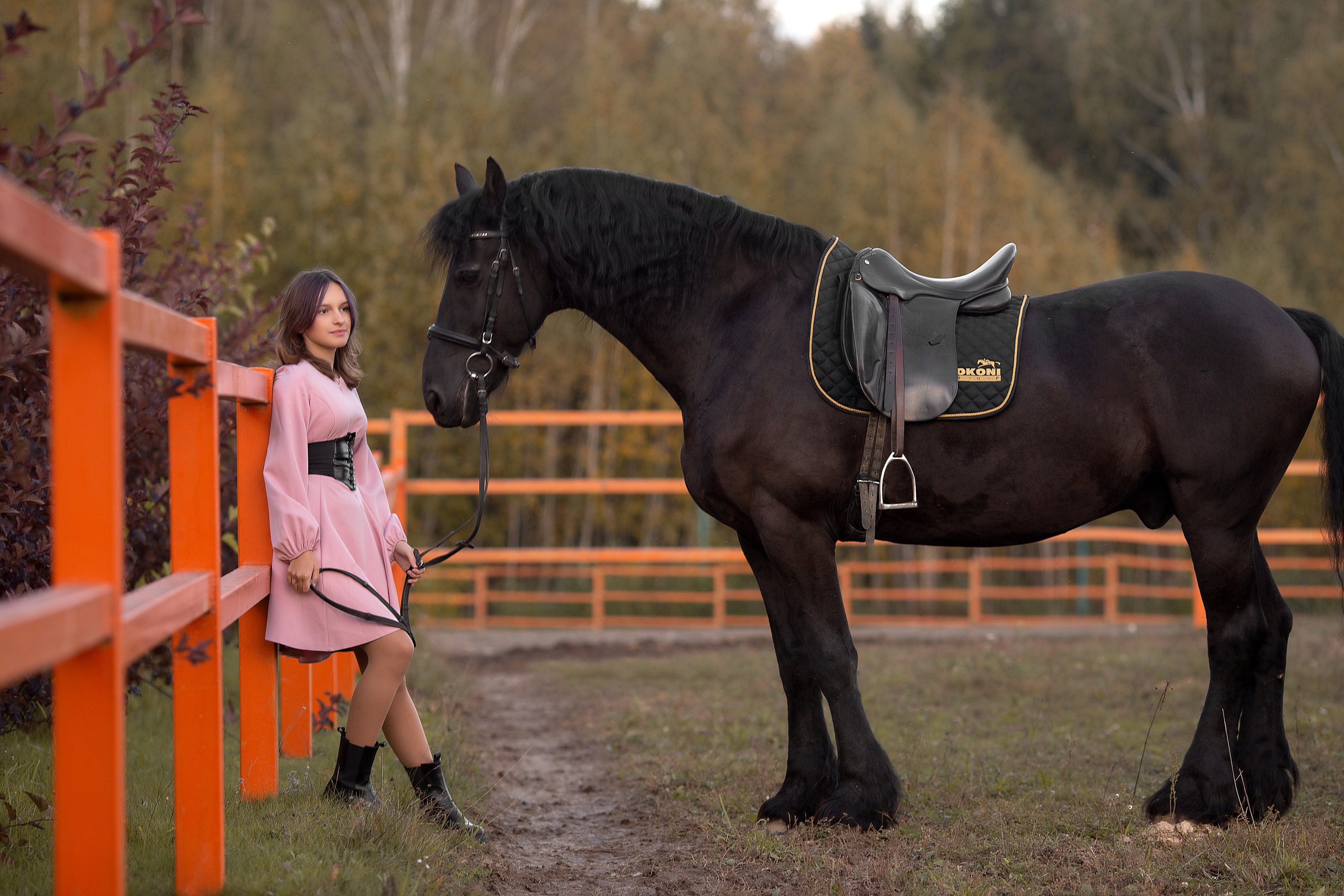 Софья и Ферзь (КСК Курцево). Фотосессия с лошадьми в Нижнем Новгороде