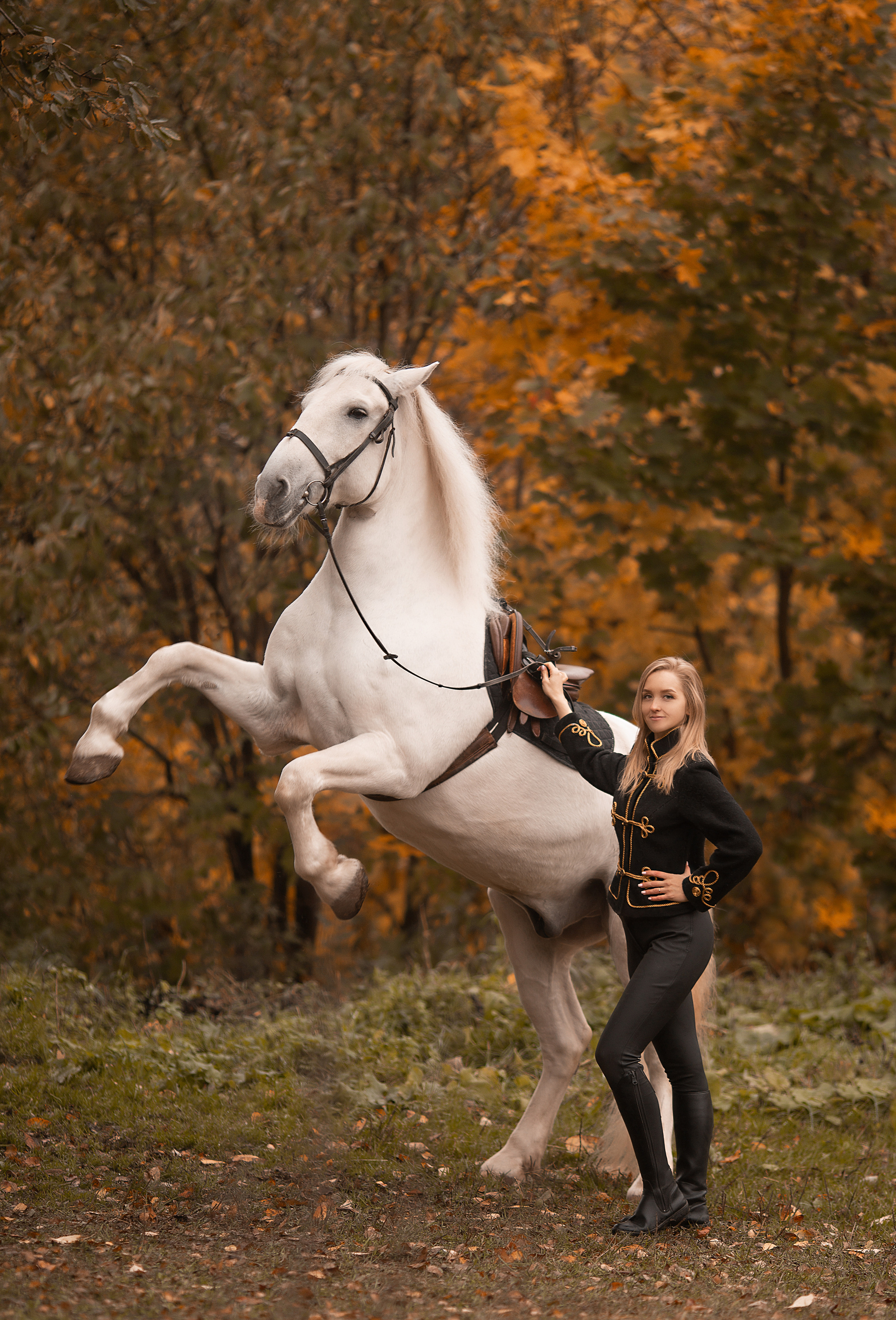Любовь и Воробей. Фотосессия с лошадьми в Нижнем Новгороде