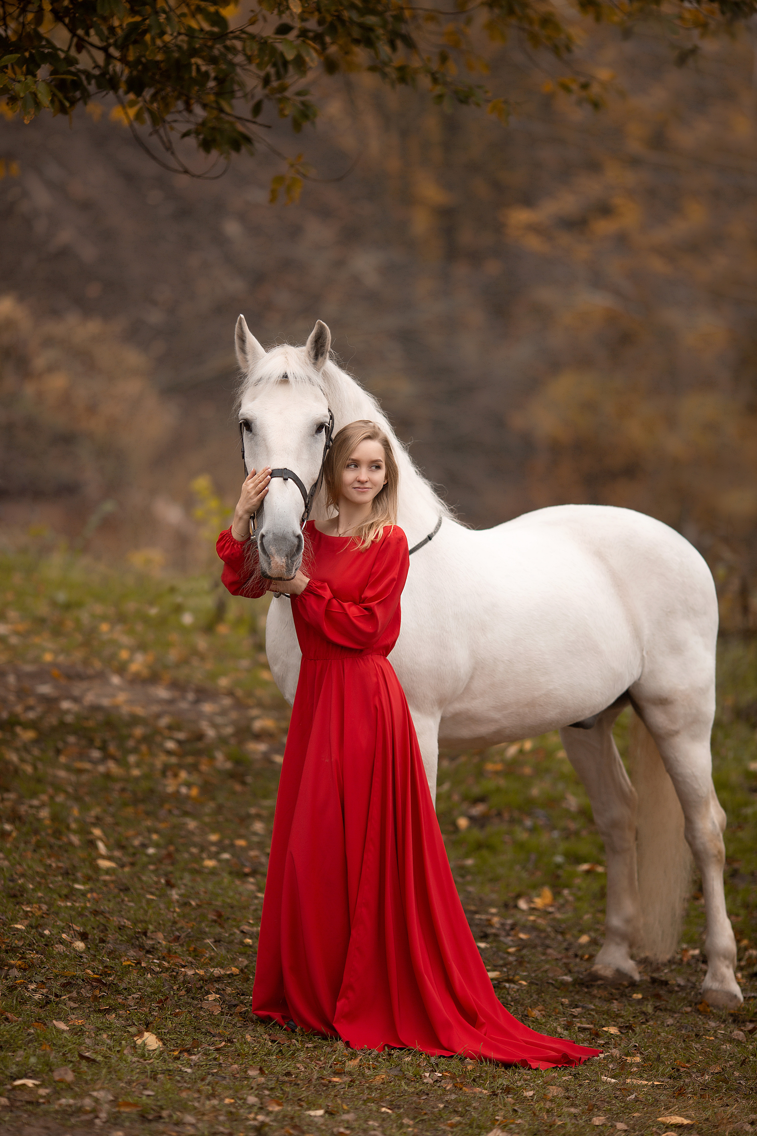 Любовь и Воробей. Фотосессия с лошадьми в Нижнем Новгороде