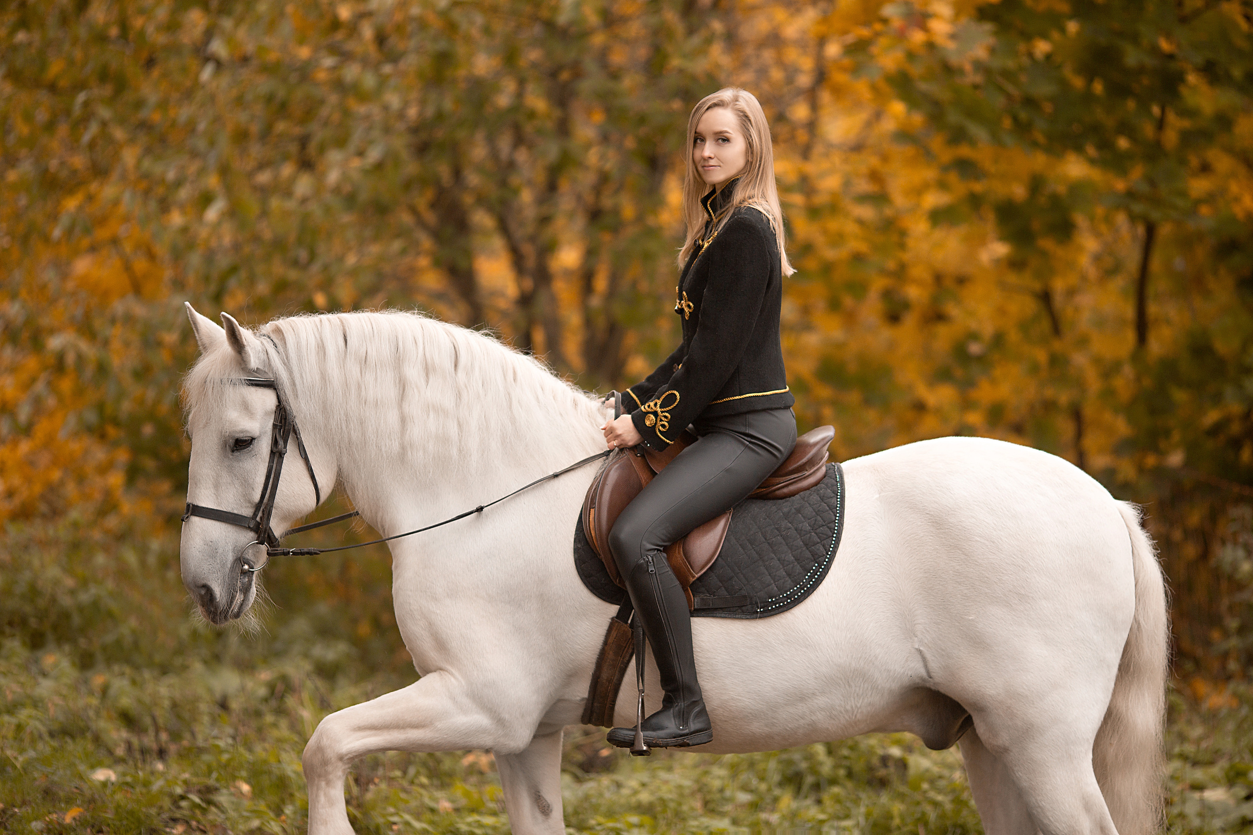 Любовь и Воробей. Фотосессия с лошадьми в Нижнем Новгороде