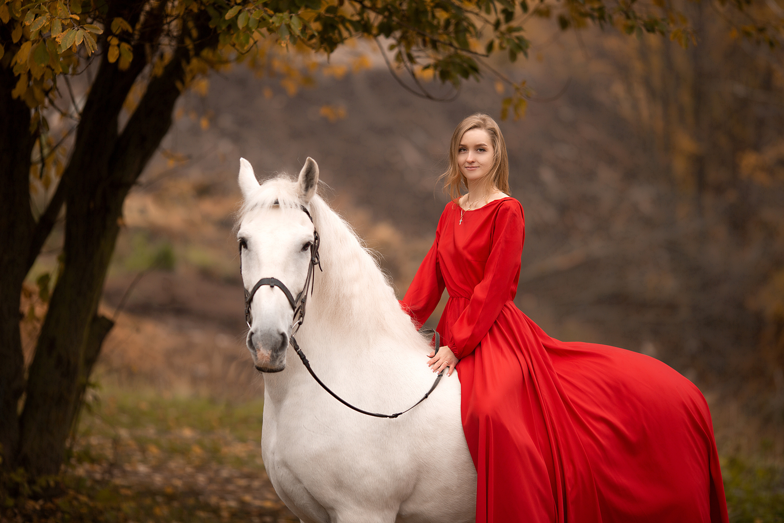Любовь и Воробей. Фотосессия с лошадьми в Нижнем Новгороде