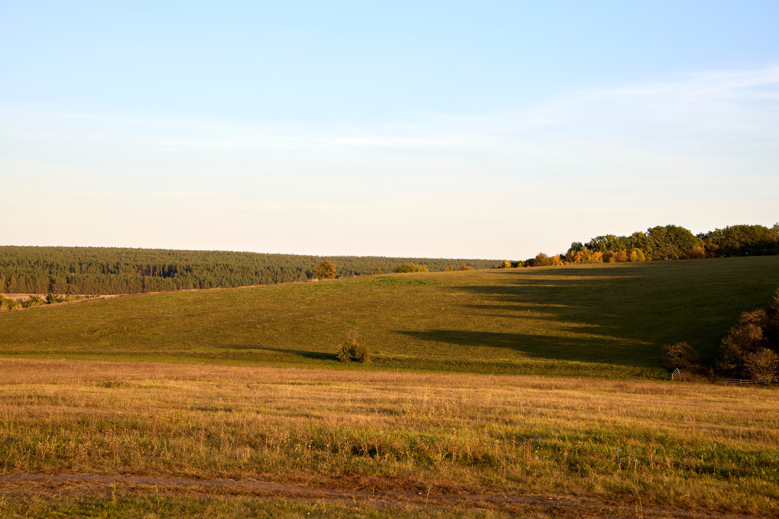 Вот она, та самая загадочная Кудыкина гора! Место сильное, красивое и очень гостеприимное. Отсюда, с вершины, открывается потрясающий вид на древний Дон. Кажется, будто стоишь на краю света, и перед тобой — вся великая история этой реки. Особенно волшебно здесь на закате, когда солнце окрашивает воду и небо в золотые и розовые края. Природа настоящая, степная, дышится очень легко. И вот среди этой природной мощи встречаешь удивительные рукотворные вещи. три богатыря сидят на поле. Отдыхают и ждут пока приготовится ужин. Или «Хоровод» на самой вершине. фигуры, взявшись за руки, словно охраняют покой этого места. Чувствуется какая-то особая сила и энергетика. Отличный повод задуматься о вечном и сделать классные кадры! Но главный сюрприз, ради которого многие и едут — ждёт в конце. Тот, кто даёт понять: вы действительно на Кудыкиной горе! Вот он, местный житель — огнедышащий Змей Горыныч. Теперь та самая поговорка «На Кудыкины горы воровать помидоры» звучит особенно смешно! Потому что с таким стражем ни о каких помидорах и речи быть не может. Его дело — охранять покой и устраивать по-настоящему огненное шоу на прощание. #dzen13 #желтаяшапочкаdz #кудыкинагора #тревел #змейгорыныч #топ
