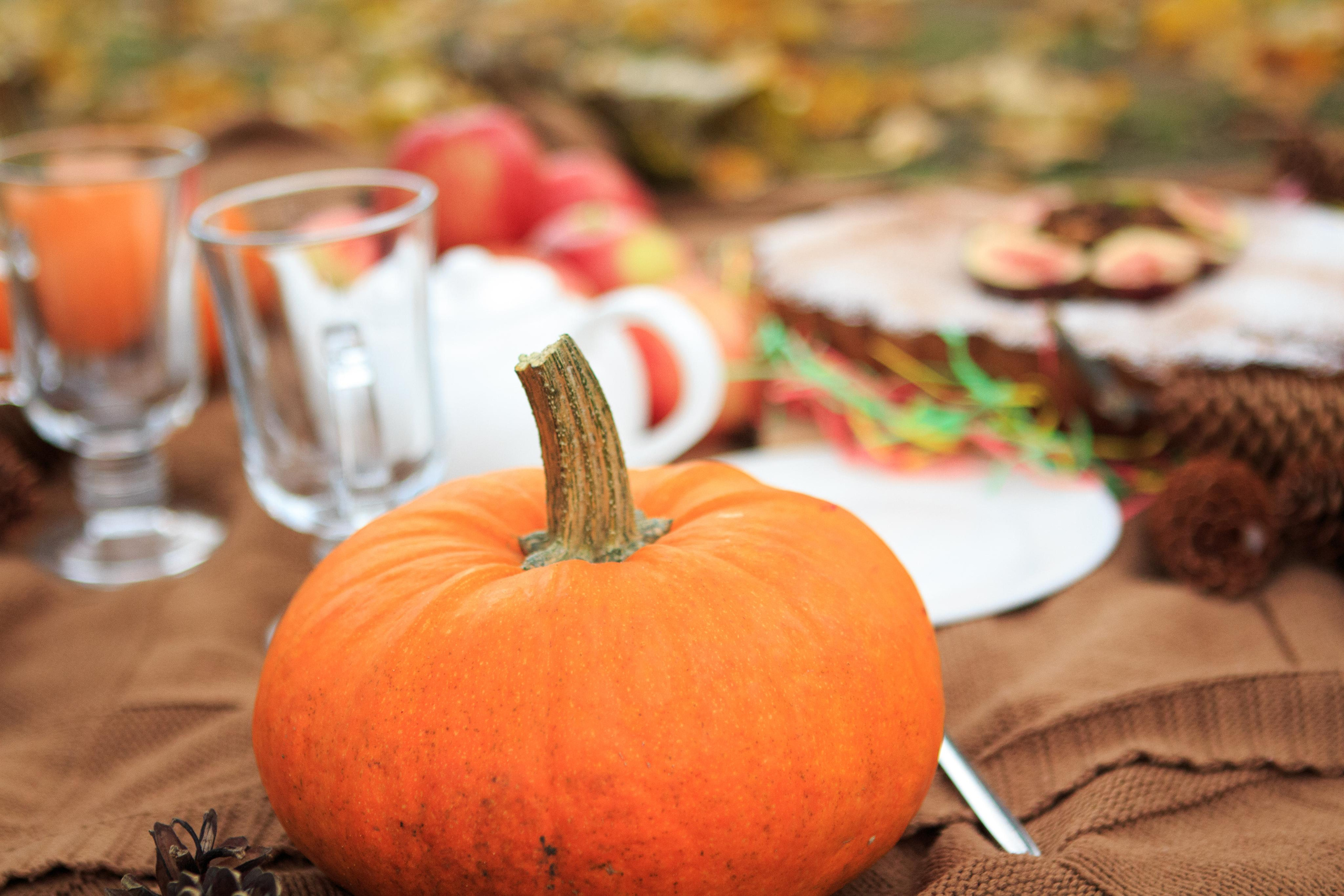 Осенний пикник Анны и Машули. Фотограф для вас и вашего бизнеса в Москве Альбина Никифоров