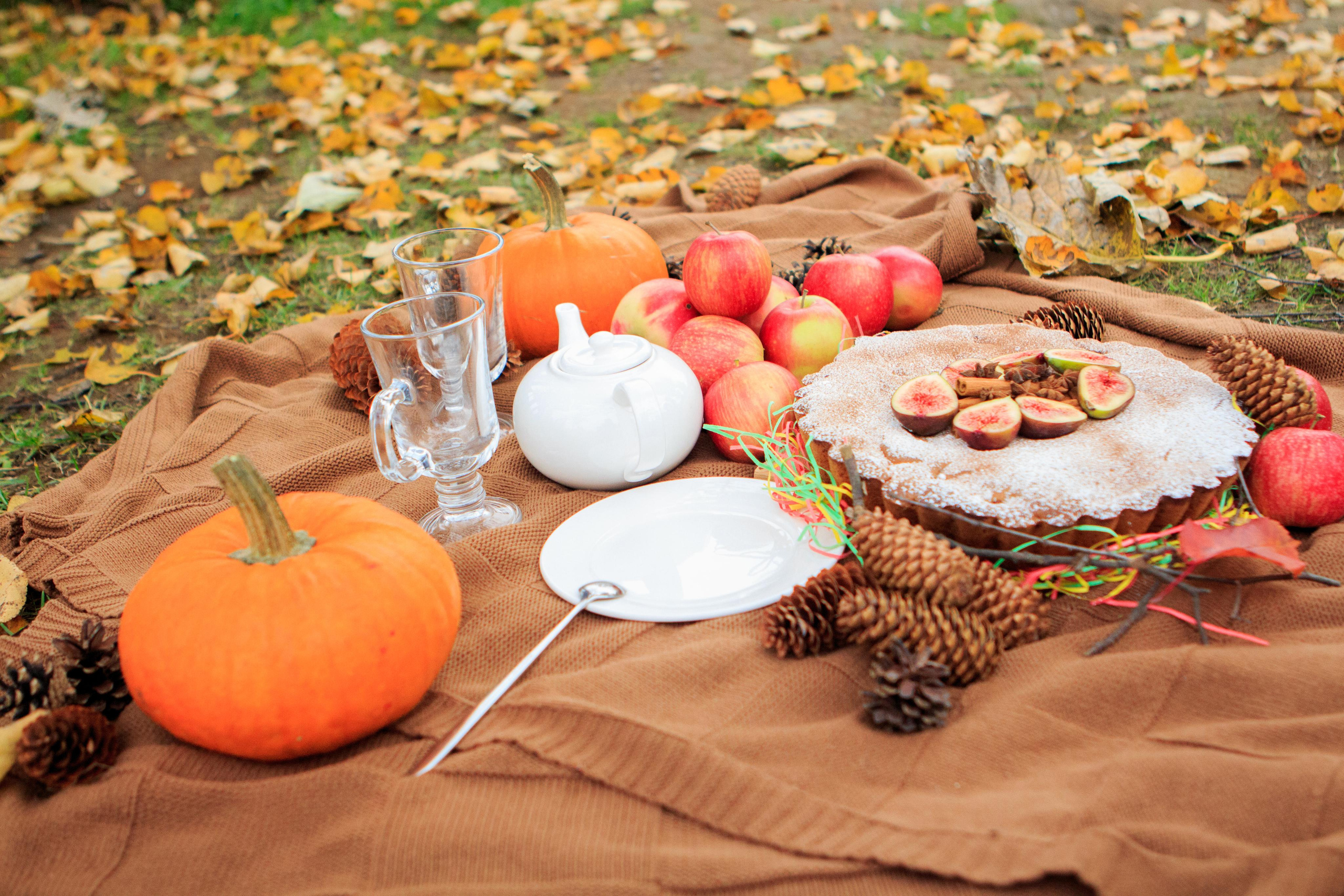 Осенний пикник Анны и Машули. Фотограф для вас и вашего бизнеса в Москве Альбина Никифоров