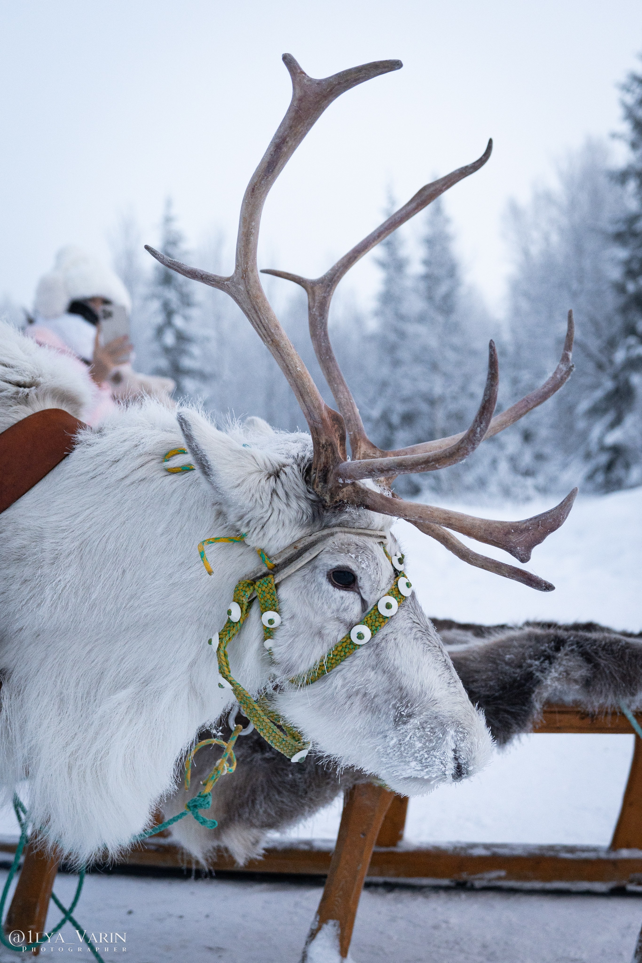 Кольский полуостров. Илья Варин — Фотограф Москва, Тверь