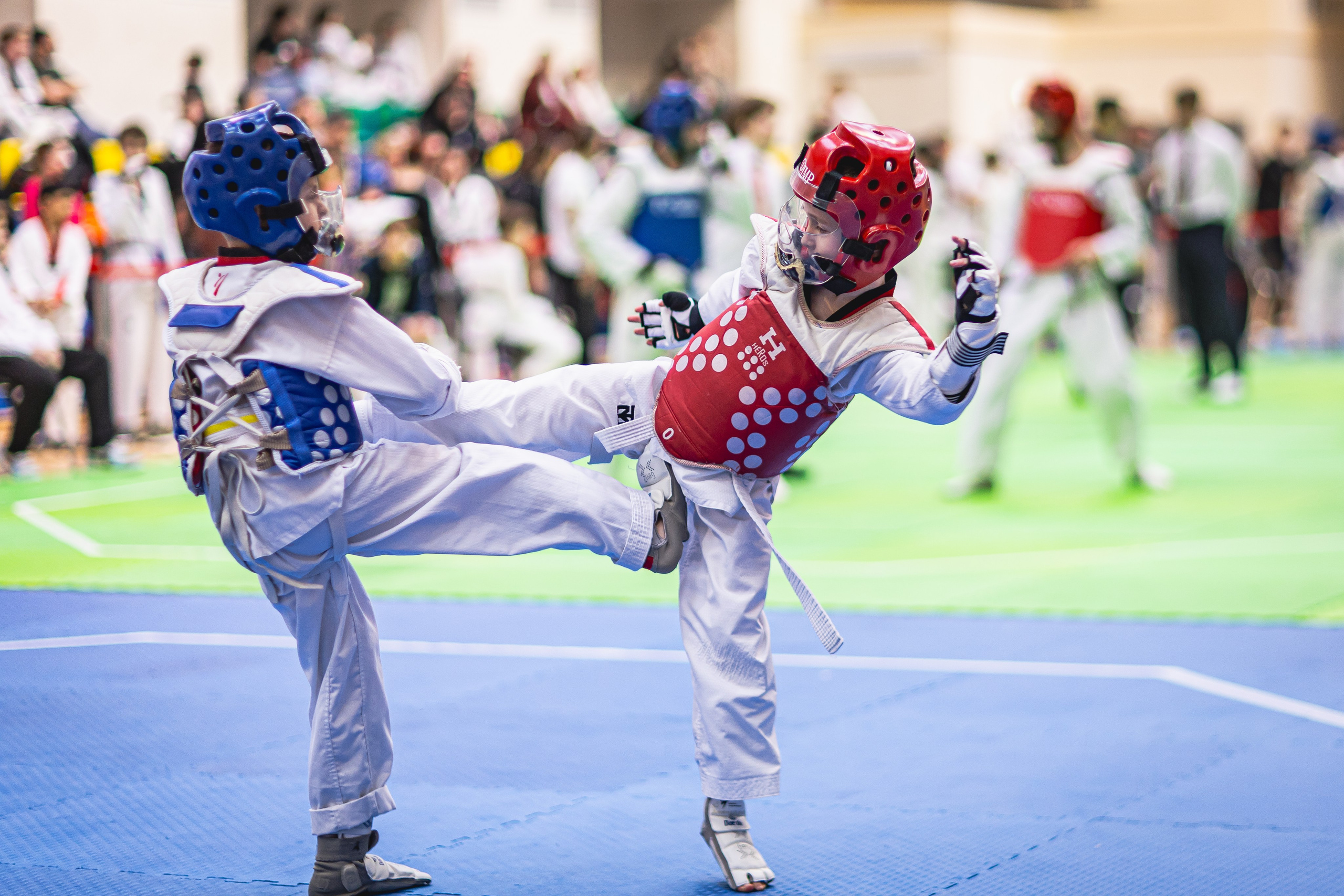 Турнир ВДЮФСОО «ФЕДЕРАЦИЯ ДЕТСКОГО ТХЭКВОНДО РОССИИ» и МОО СПКЕ «ЭРИДАН» по «СПОРТИВНОМУ БОЮ КЕРУГИ». Спортивный фотограф Максим Серегин