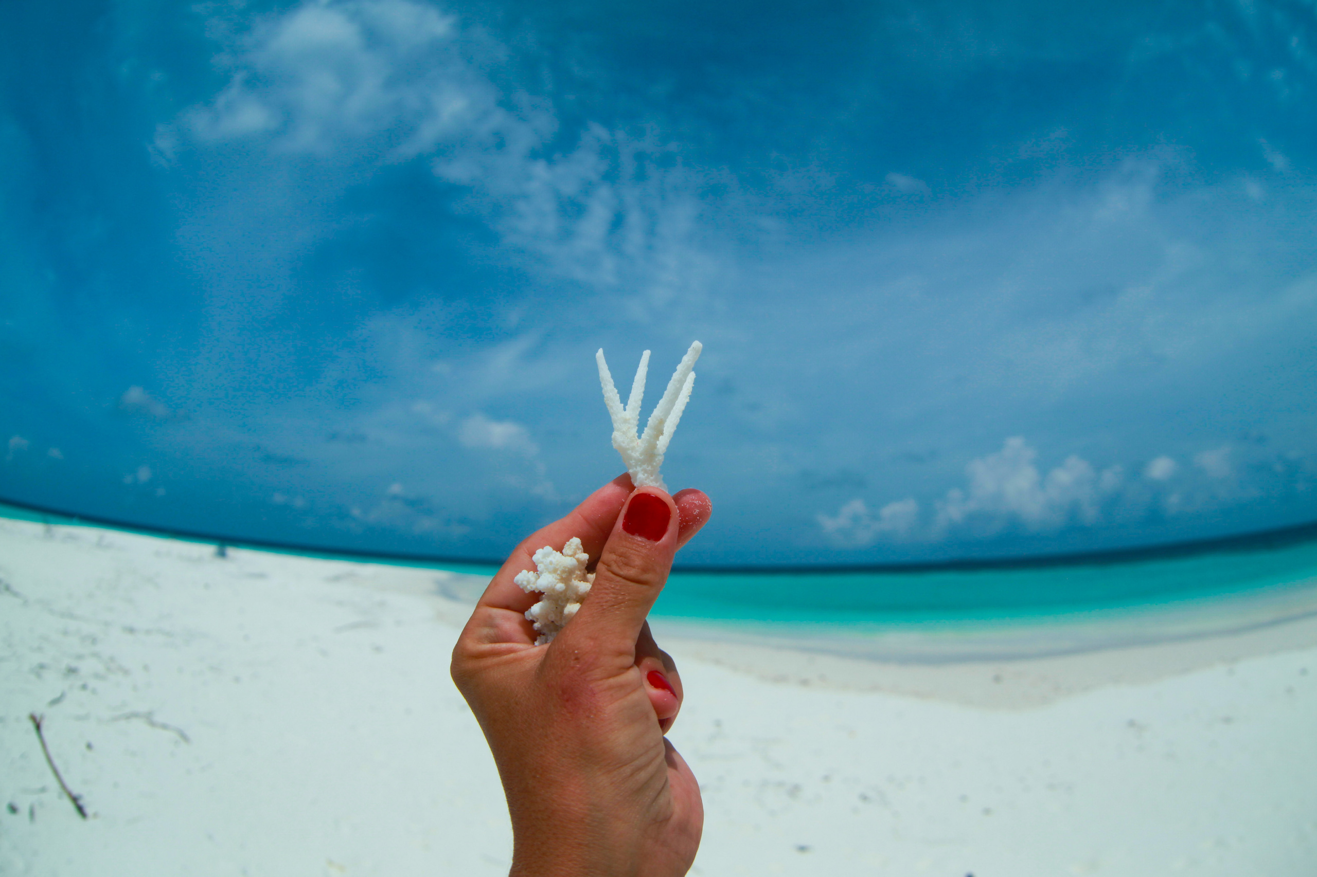 фотограф на Мальдивах, фотосессия на Мальдивах, русский фотограф на Мальдивах, русскоговорящий фотограф на Мальдивах, свадебный фотограф на Мальдивах, съемка с дрона на Мальдивах