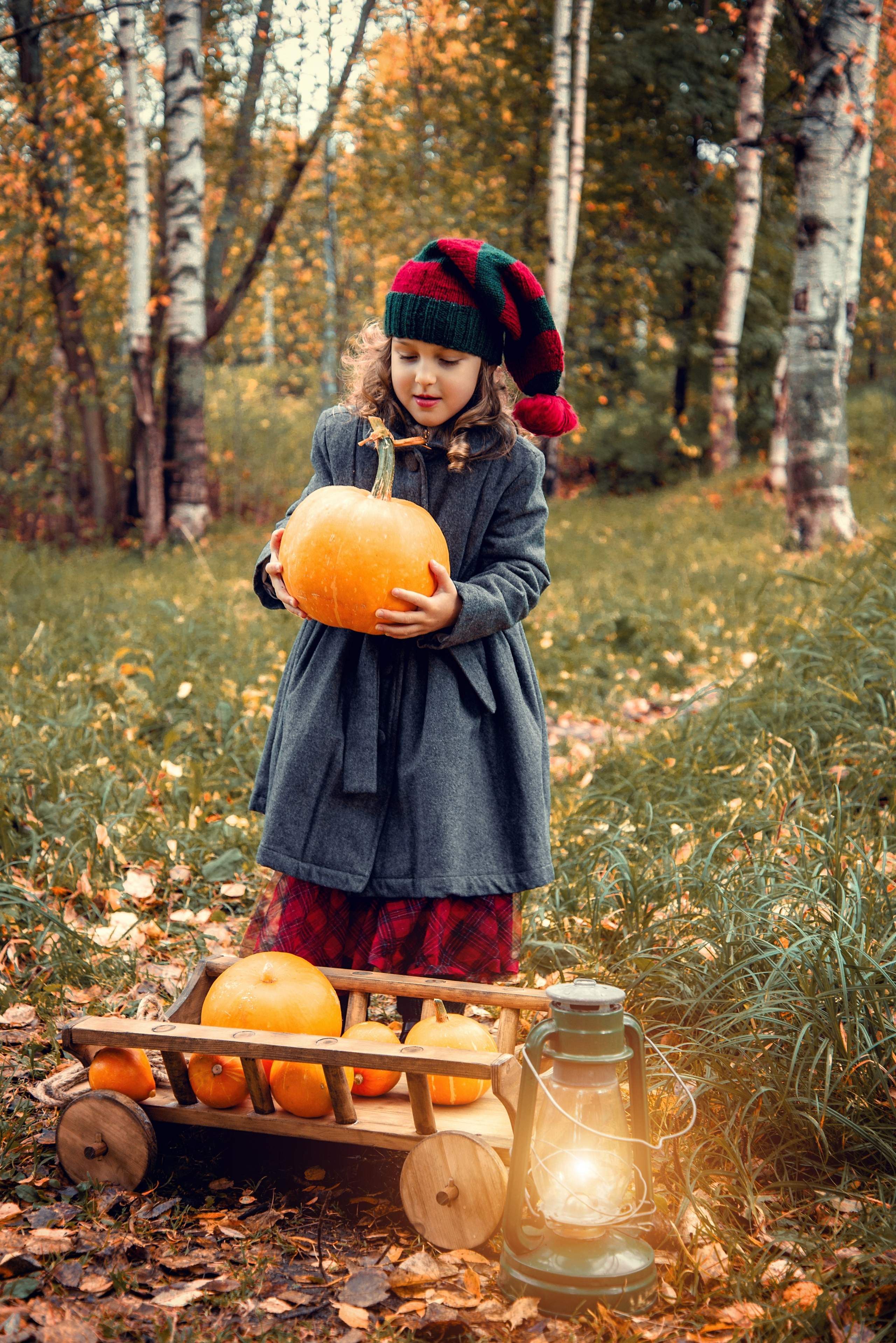 Гном. Фотограф в Петрозаводске BellaDonna