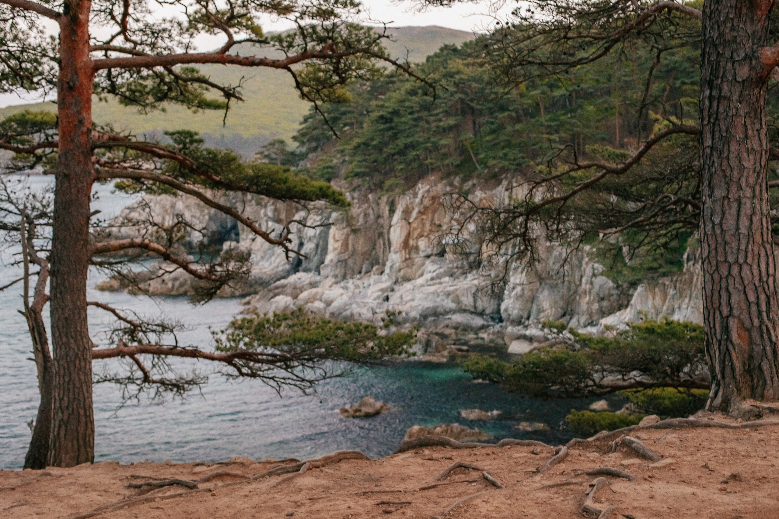 Пока не застроили. Evgeniya Kokurina