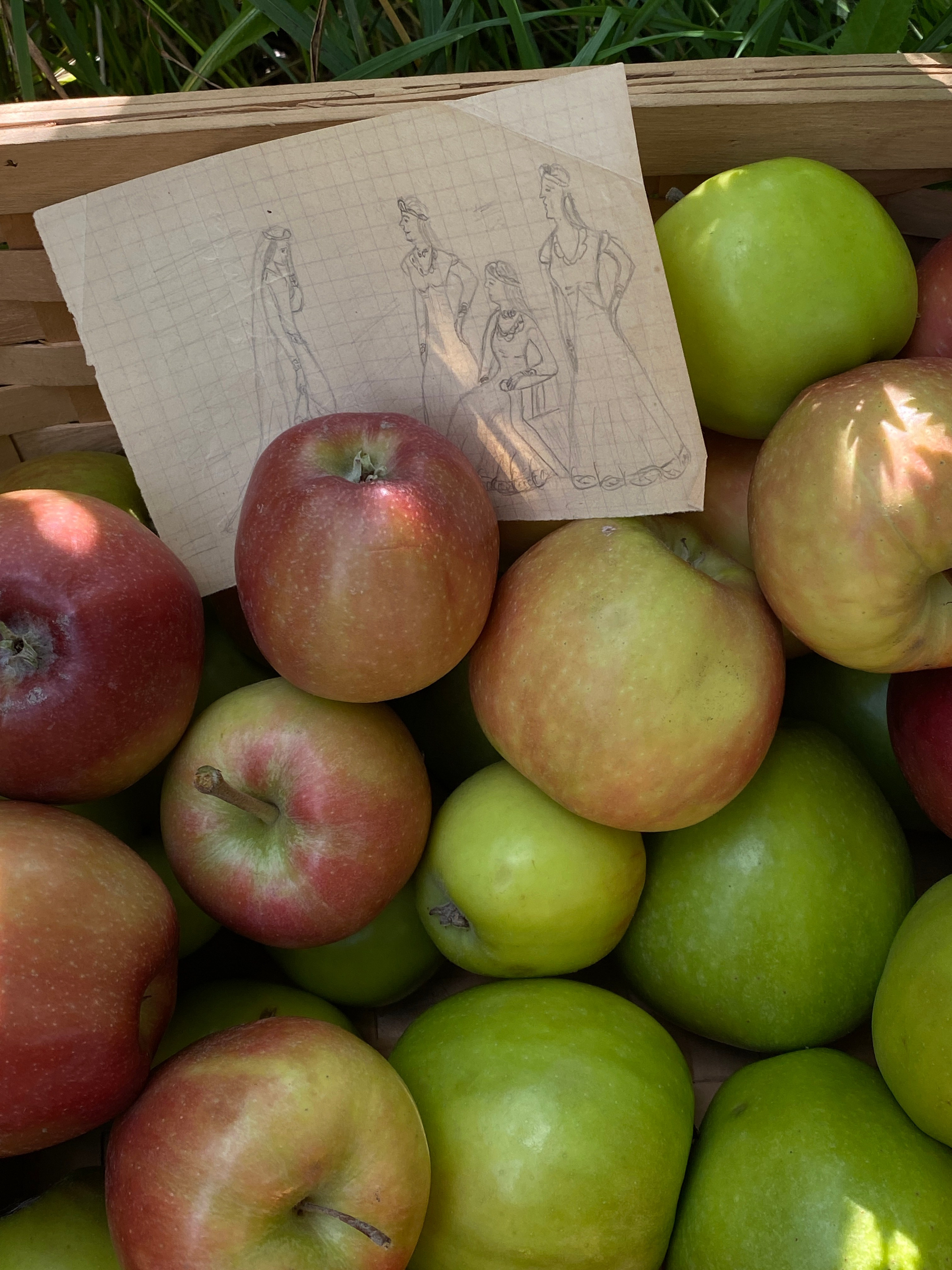 Апофеоз частиц '24. Khorevali Лиза Хорева