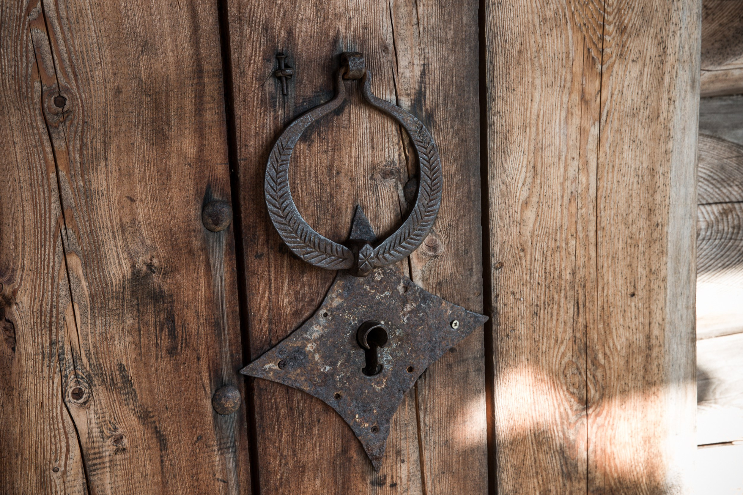 Братья по северу. Юлия Невская режиссер и сценарист документального кино, документальный фотограф