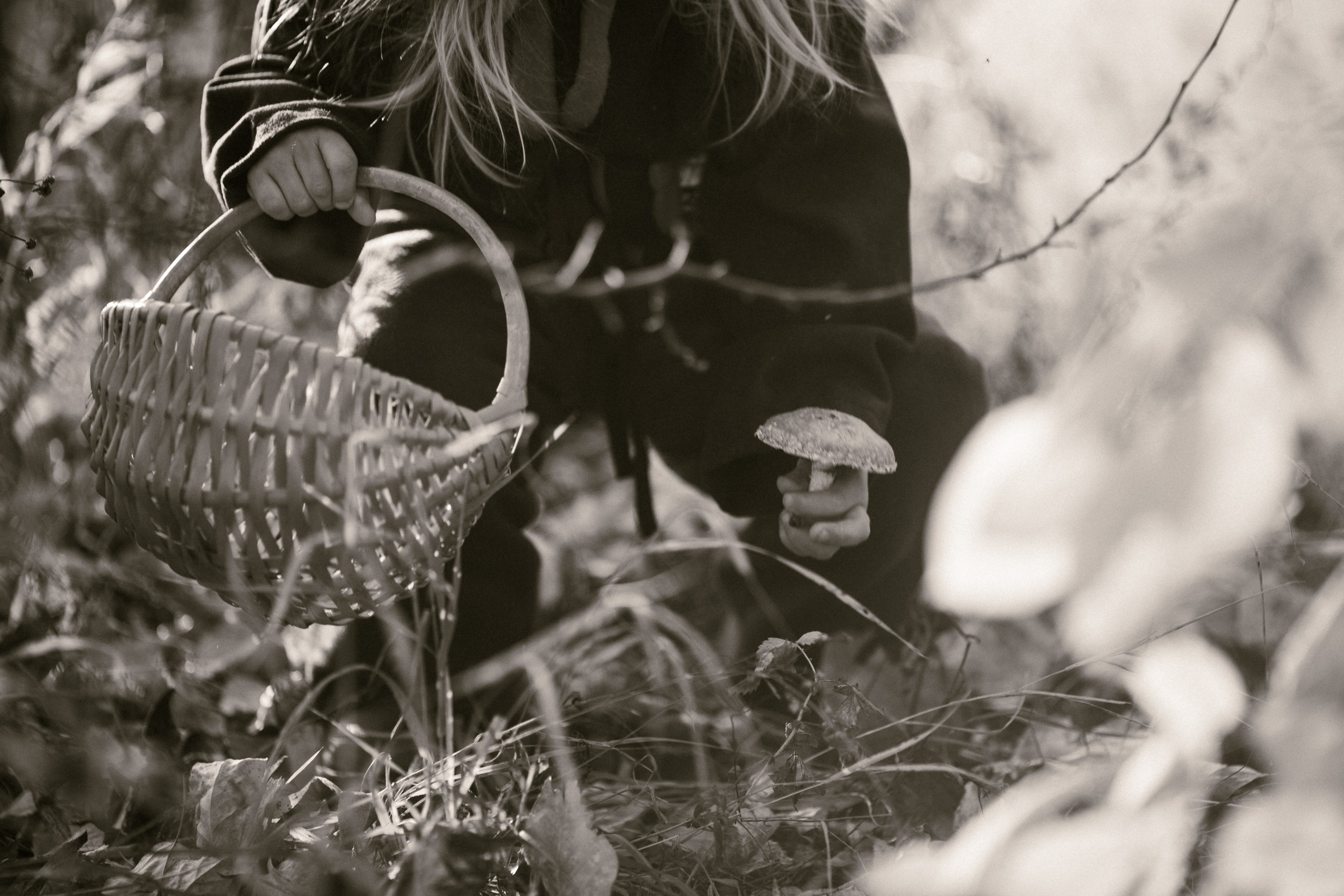 Лесные гномы