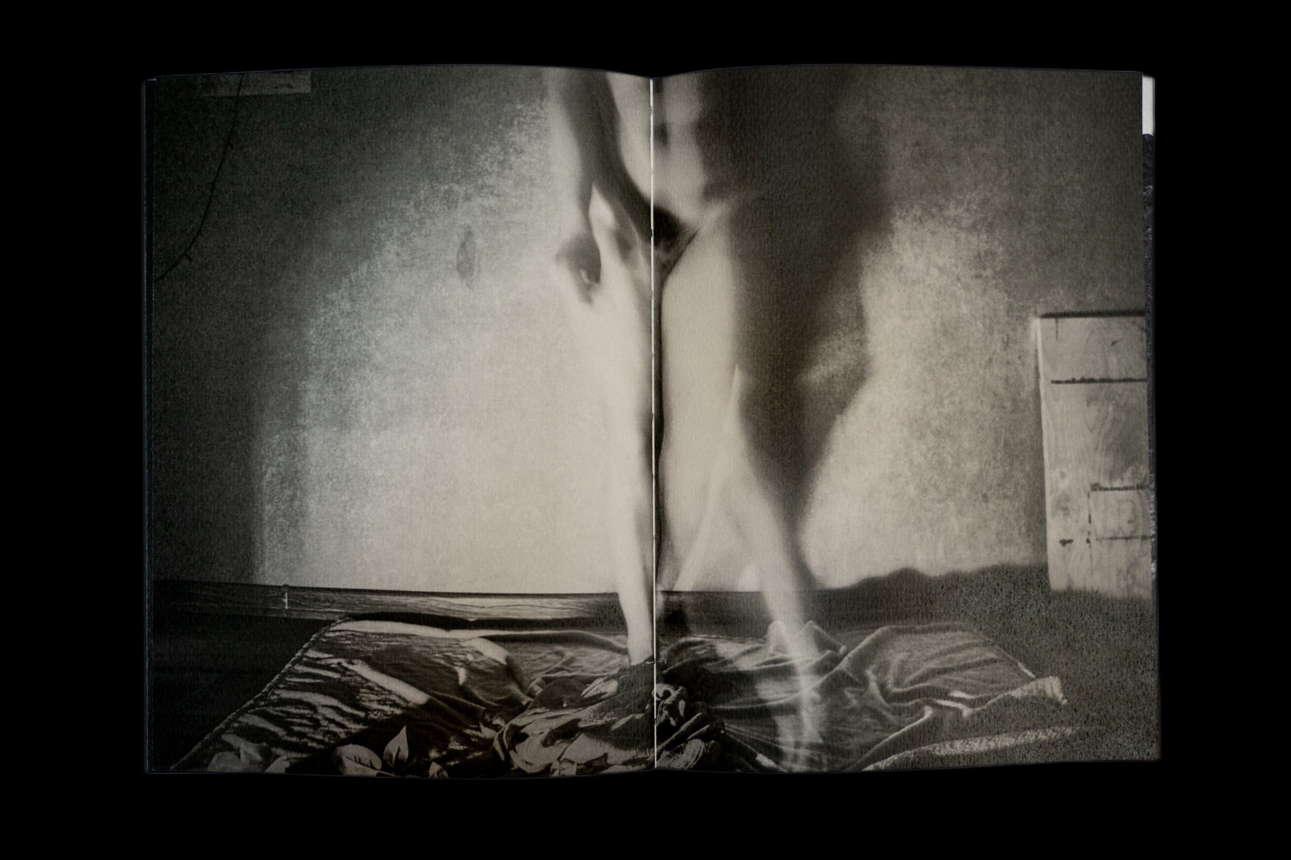 Затмение. Катрин Эдельвак