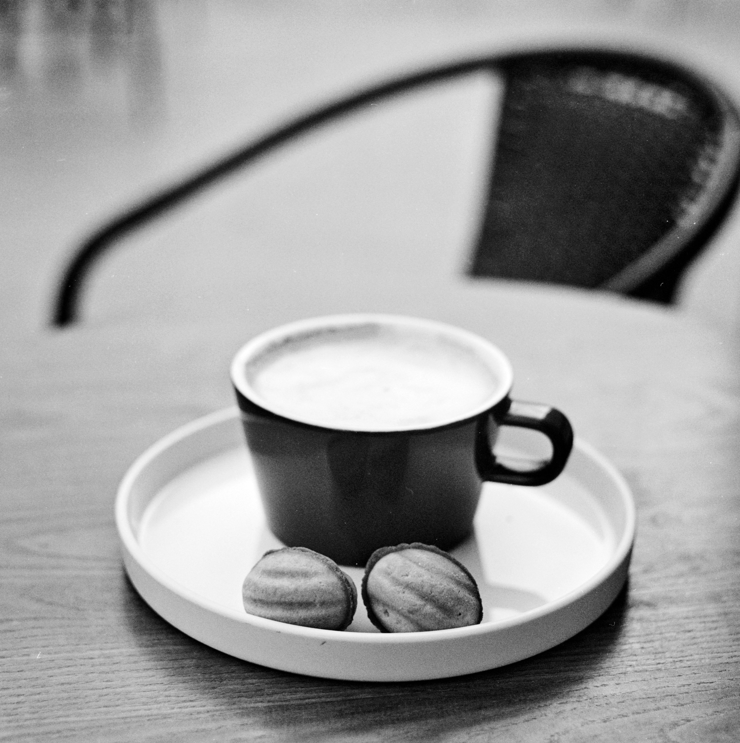 Альбом «Библиотека кофе» г. Анапа. Проект «Проявленные в кофе»