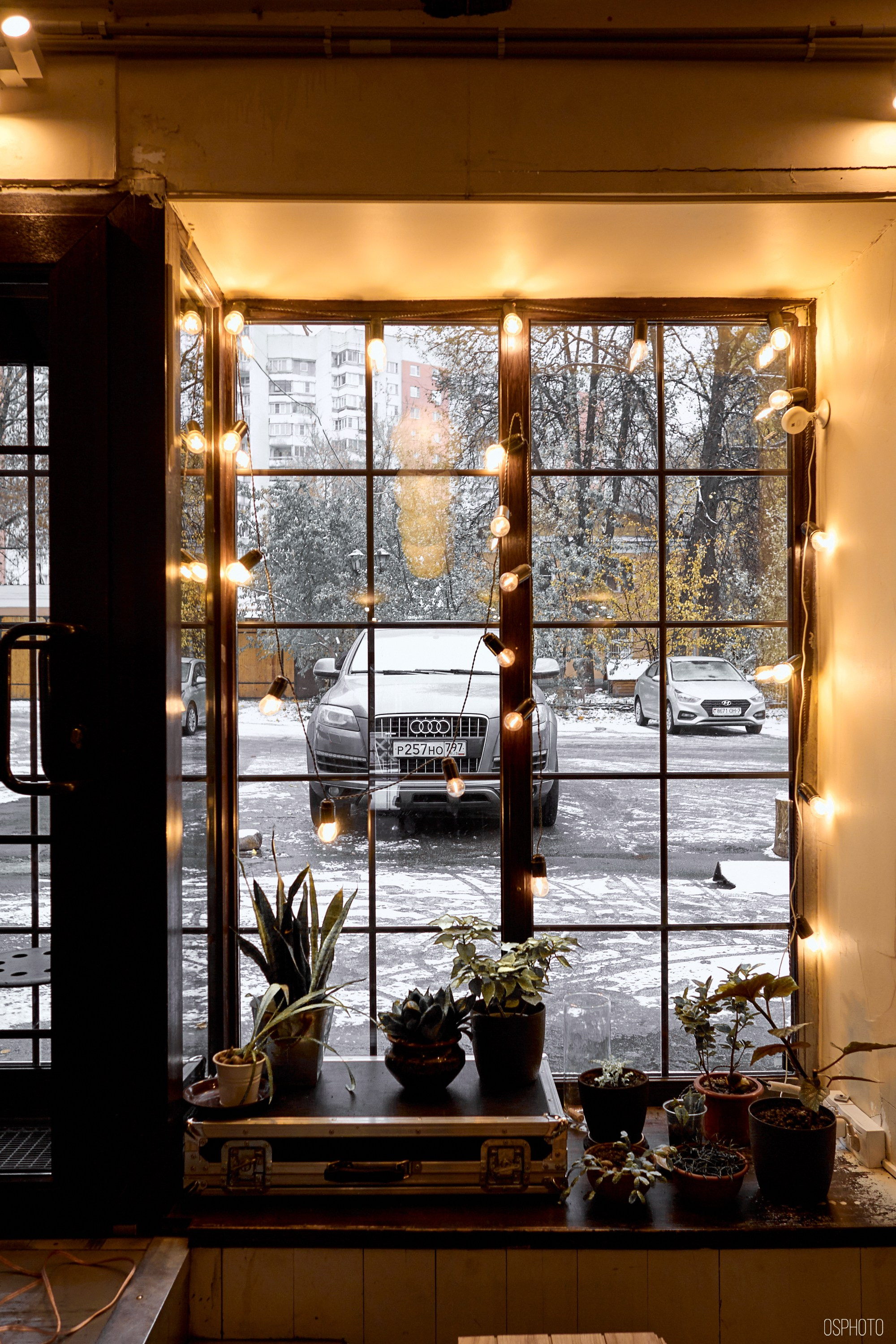 «Иду лесом». Кофе лофт в Братцево. Фотографъ Сергѣевъ. Поймать мгновеніе