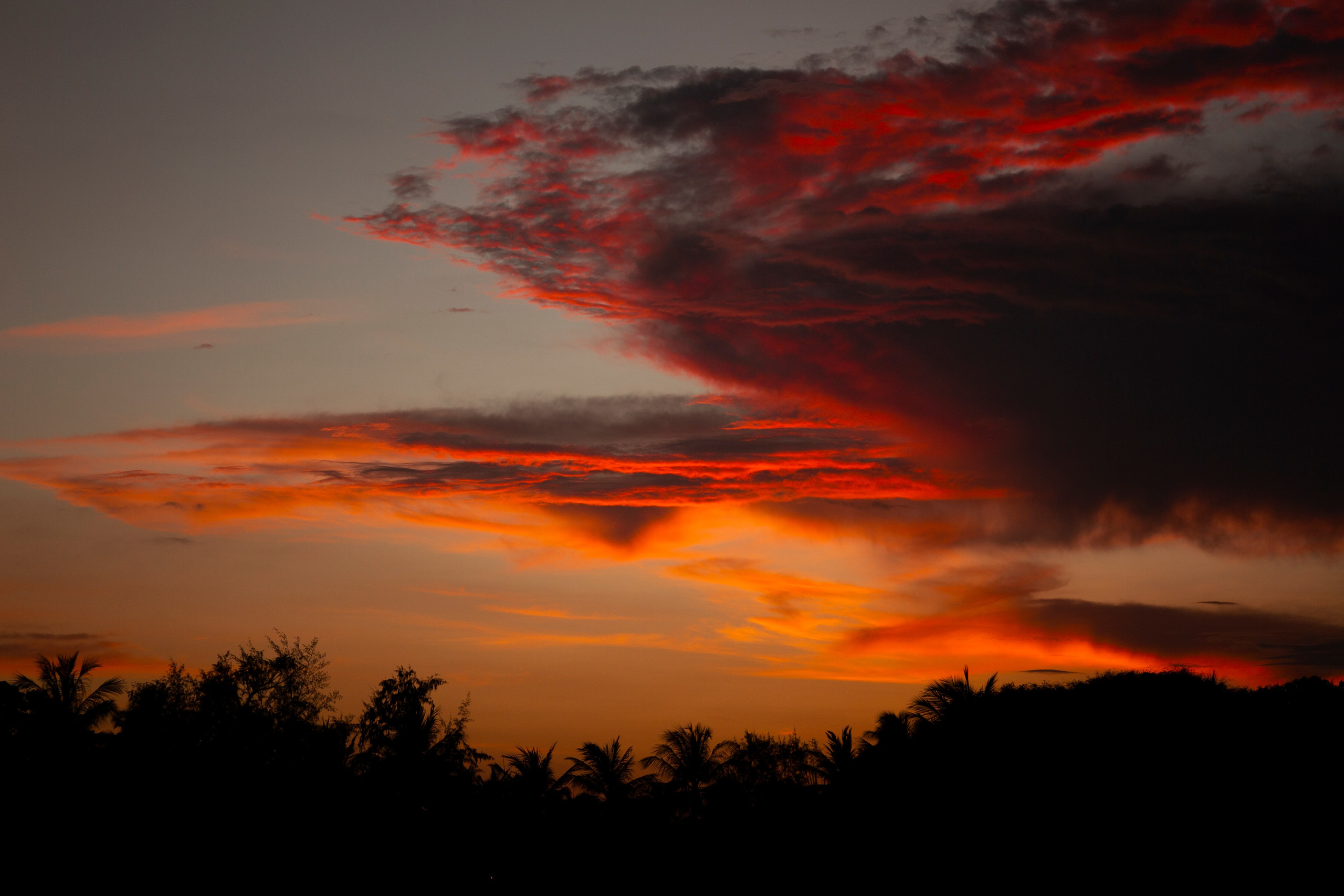 Таиланд. Фотограф Даша Омельченко