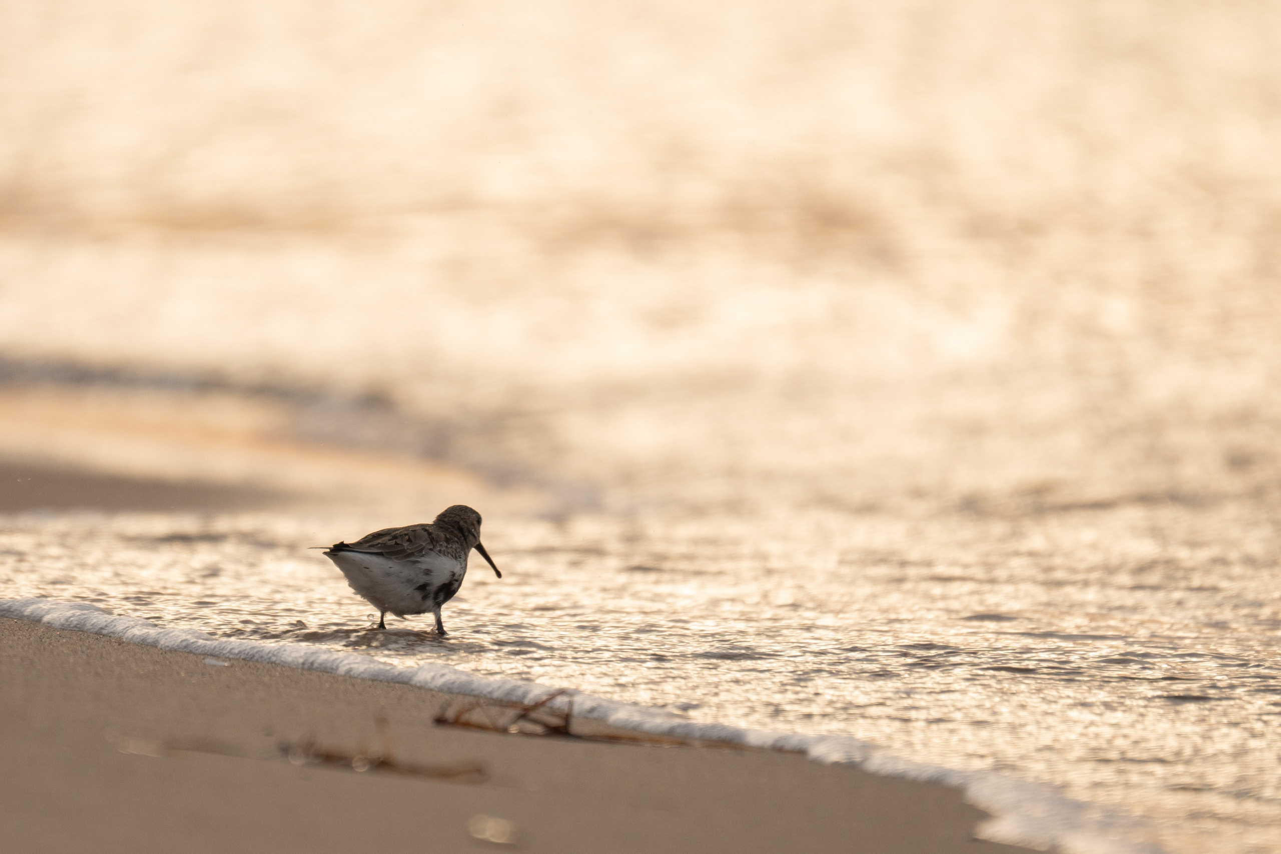 Проекты. Gusarov Travel Photography